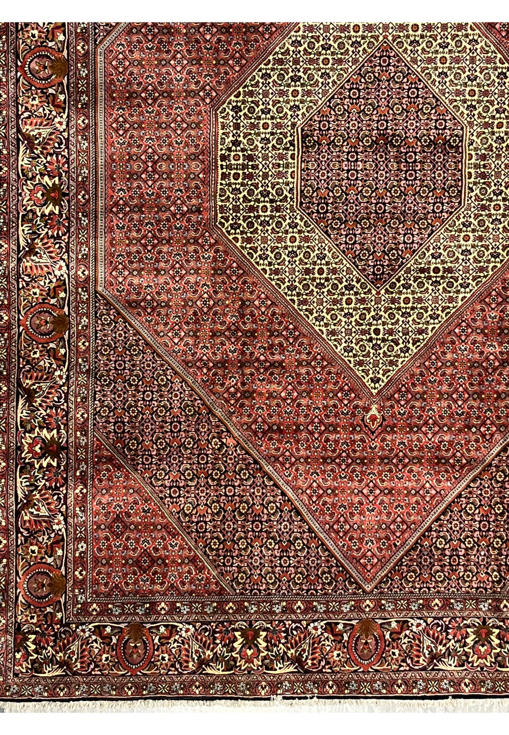 Detailed border of Persian Bijar iron rug featuring floral vines and traditional Kurdish motifs