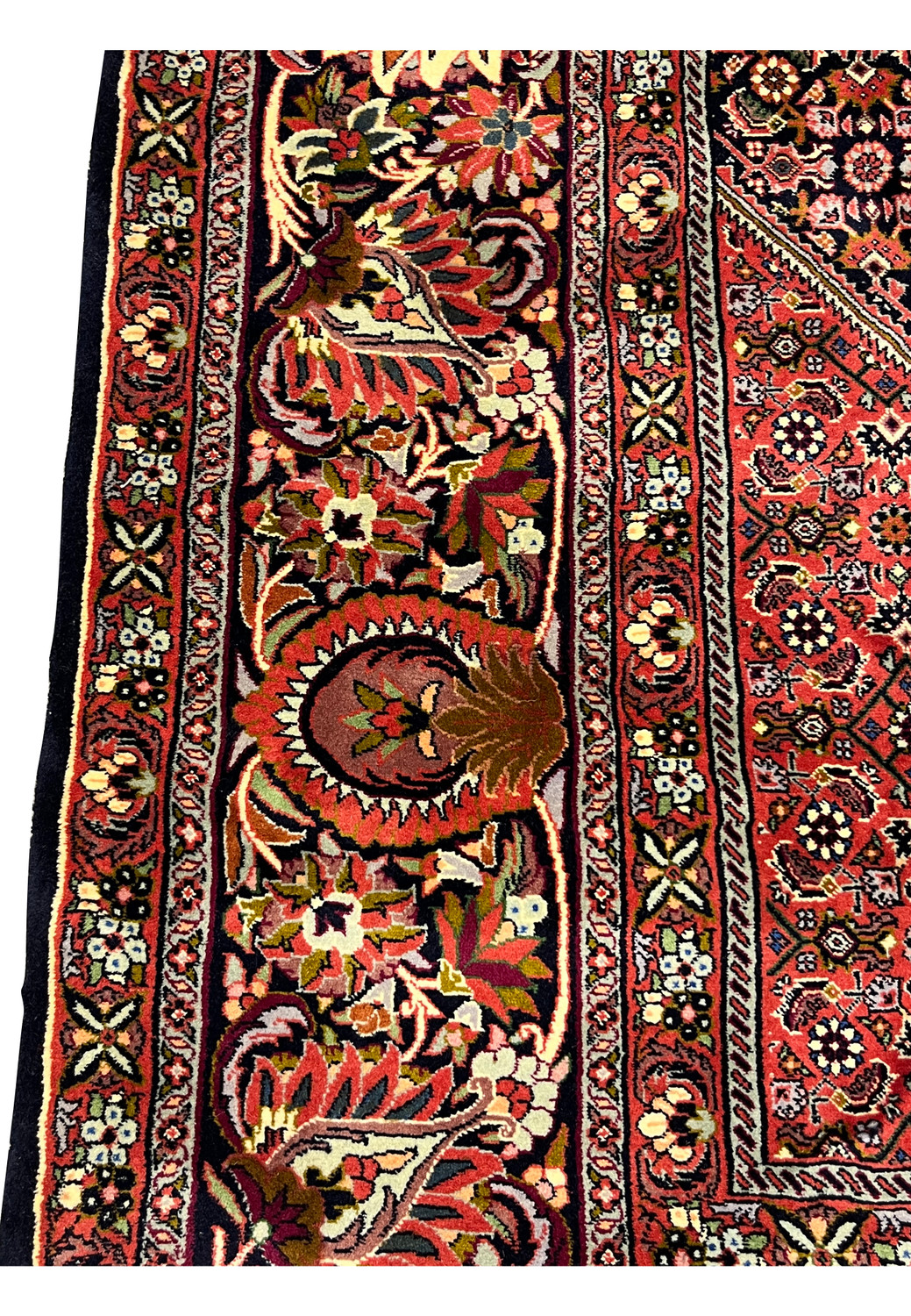 Zoomed border detail of a Persian Bijar iron rug with floral vines, bold outlines, and rich red and ivory colors