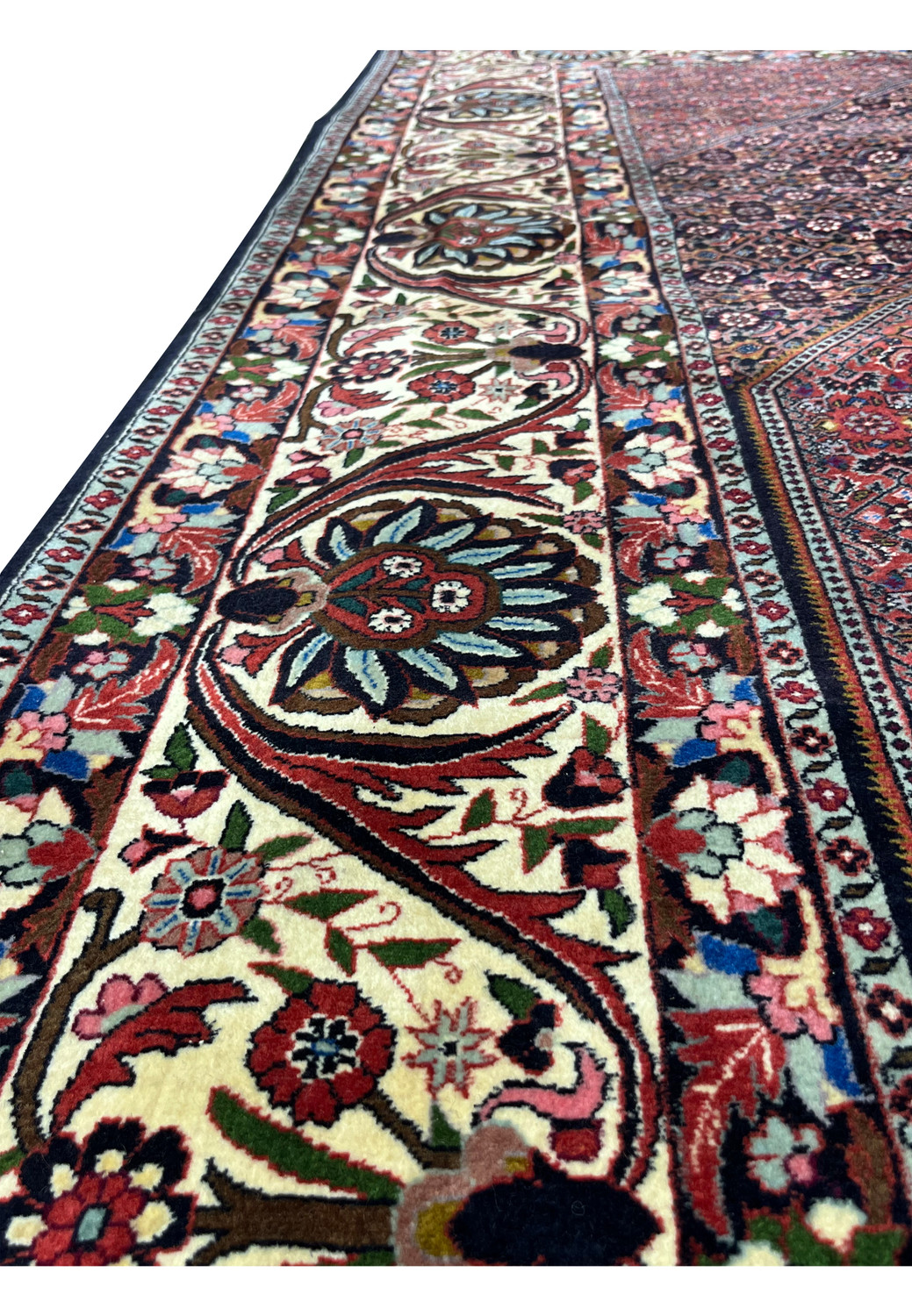 Border closeup featuring floral palmettes and scrolling vines on an ivory ground in a Persian Bijar rug