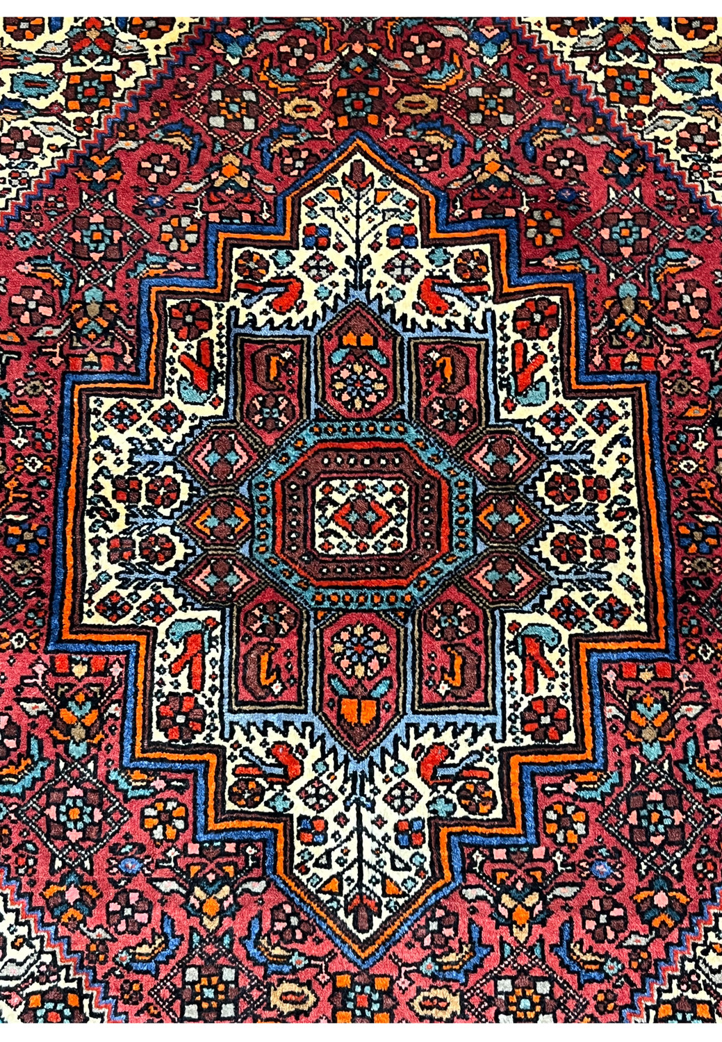 Detailed close-up of wool texture and geometric motifs in a Persian Gholtogh rug, showing dense pile, sharp pattern clarity, and saturated natural colors