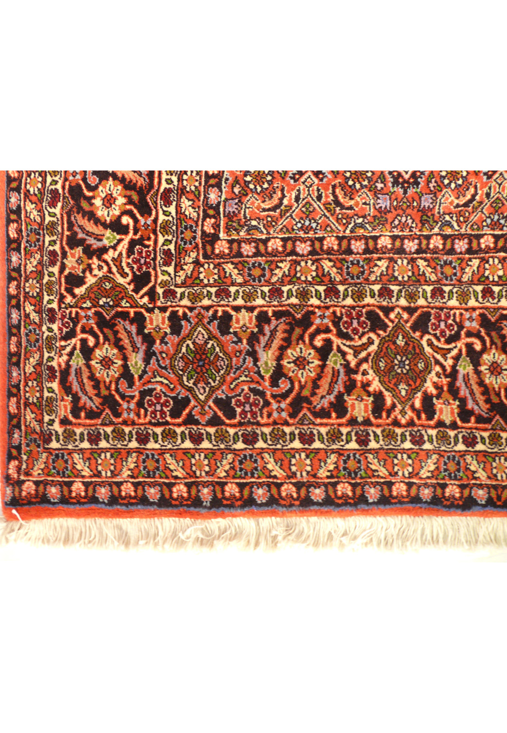 Detailed border view of an authentic Persian Bijar rug displaying scrolling floral vines, layered guard borders, rich brick red tones, and precise wool knot work