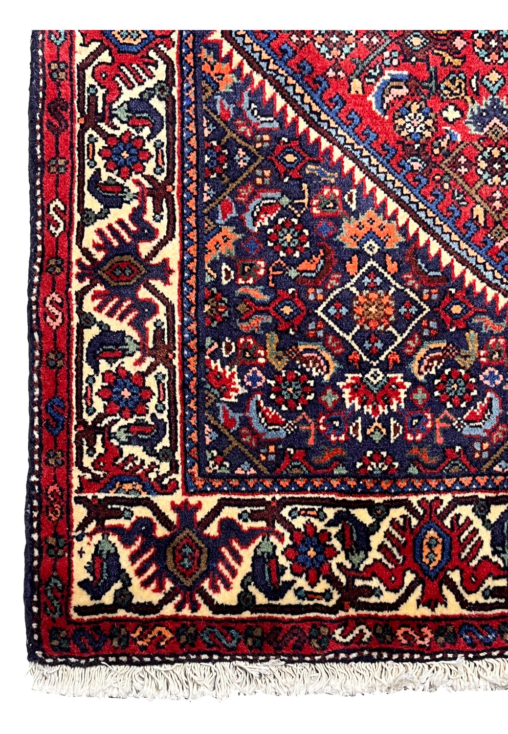 Main border detail of a Persian Gholtogh tribal rug displaying bold geometric figures, ivory ground, and saturated red and blue tones.