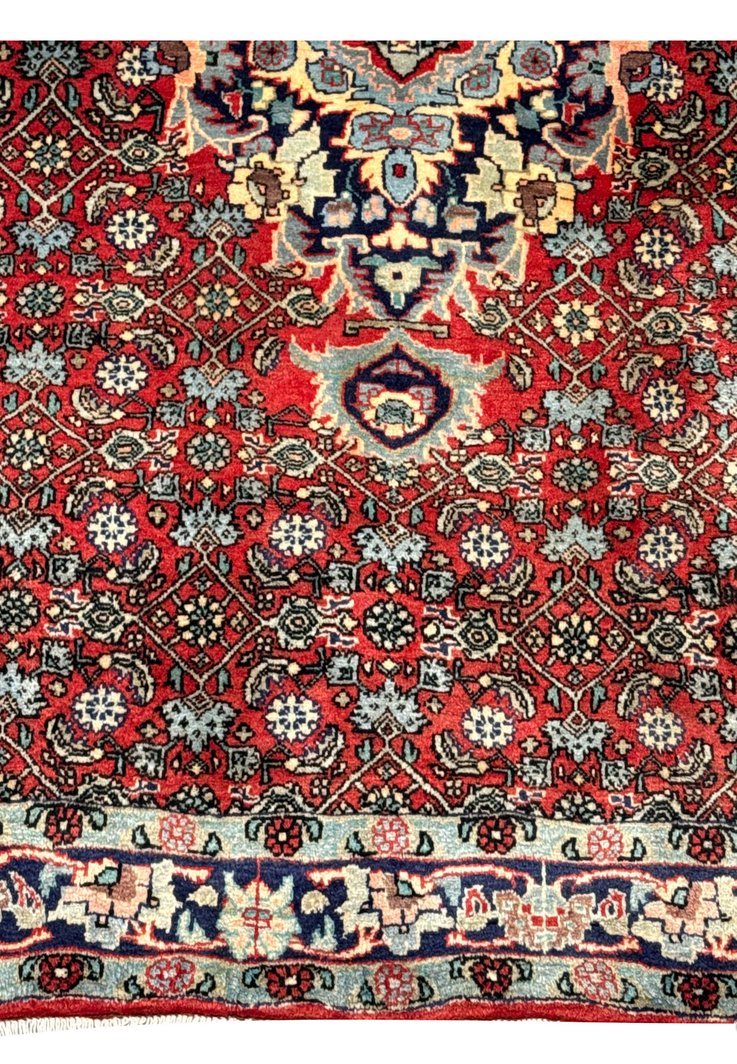 Lower border detail of a Persian Sarough rug showing navy and light blue framing, floral motifs, and precise hand-knotted craftsmanship