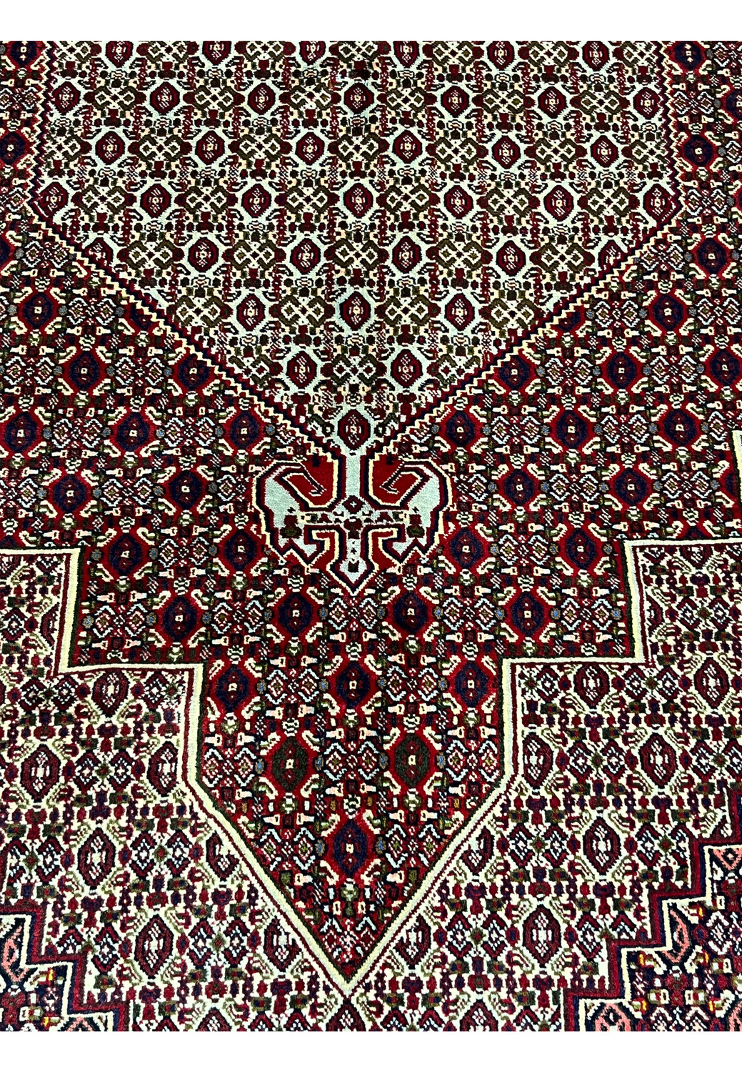 Close-up of repeating geometric field pattern in Persian Senneh rug showing fine knotting, ivory contrast, and subtle color variation