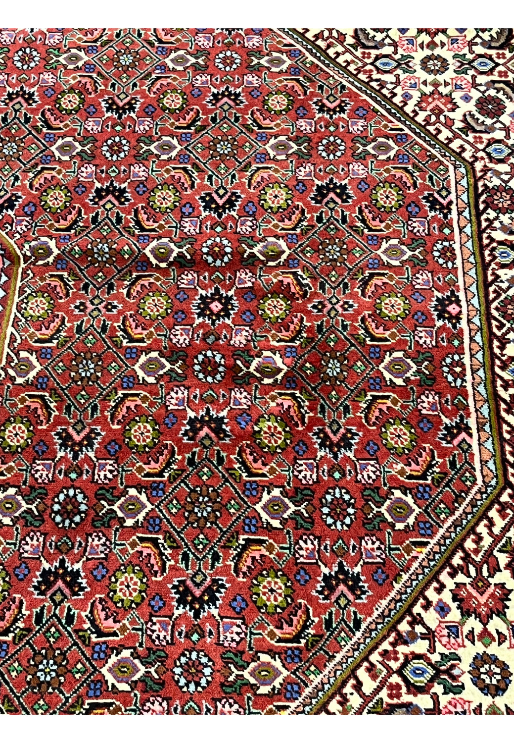 Brick red field detail of Persian Bijar rug showcasing dense geometric rosettes, vivid color saturation, and strong Kurdish design character