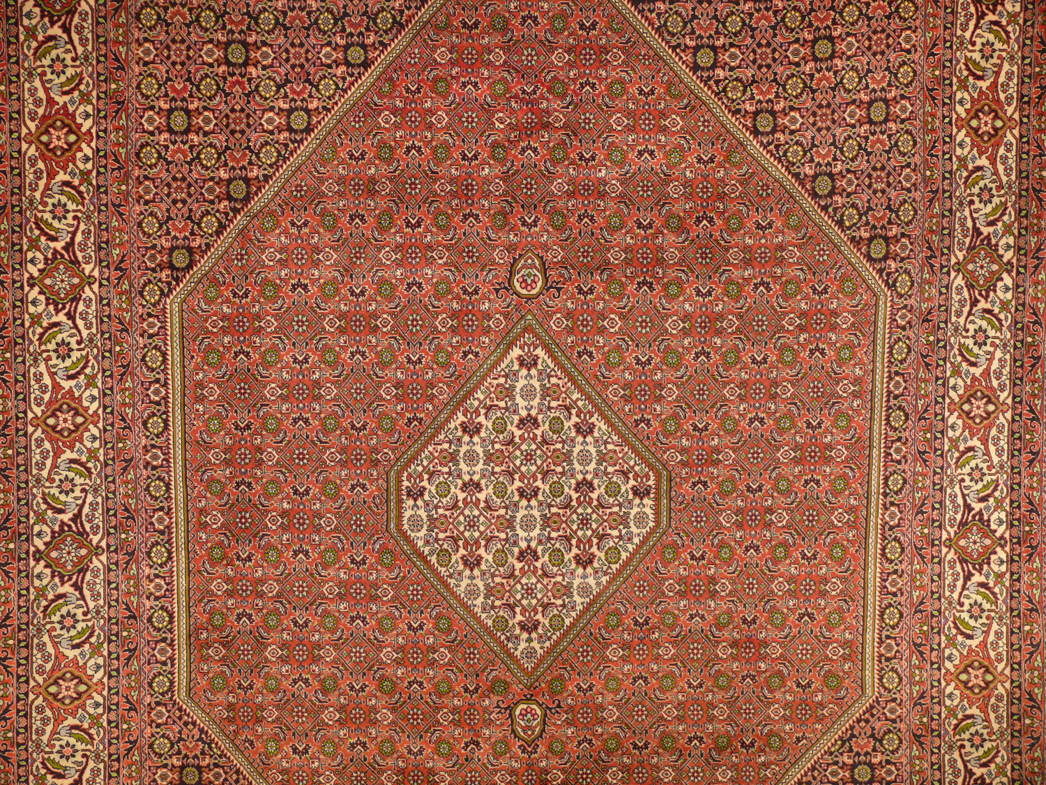 8'2" x 11'4" Persian Bijar Rug