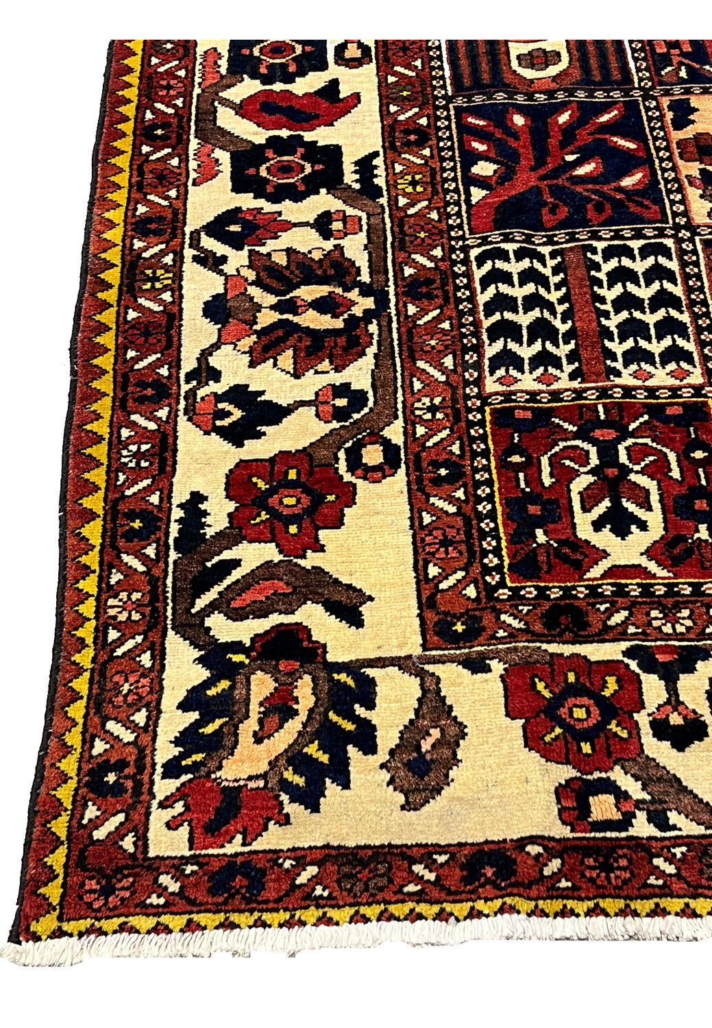 Close view of the wide ivory border on a Persian Bakhtiar rug with floral and geometric designs