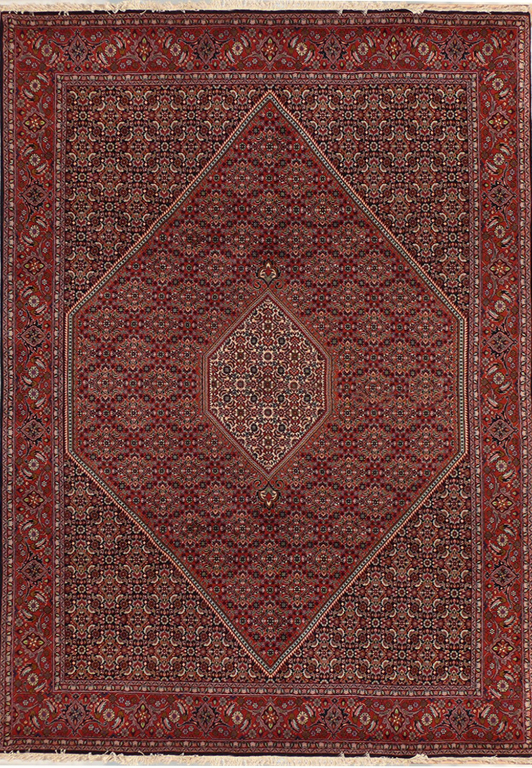 6'5" x 9'8" Persian Bijar Rug