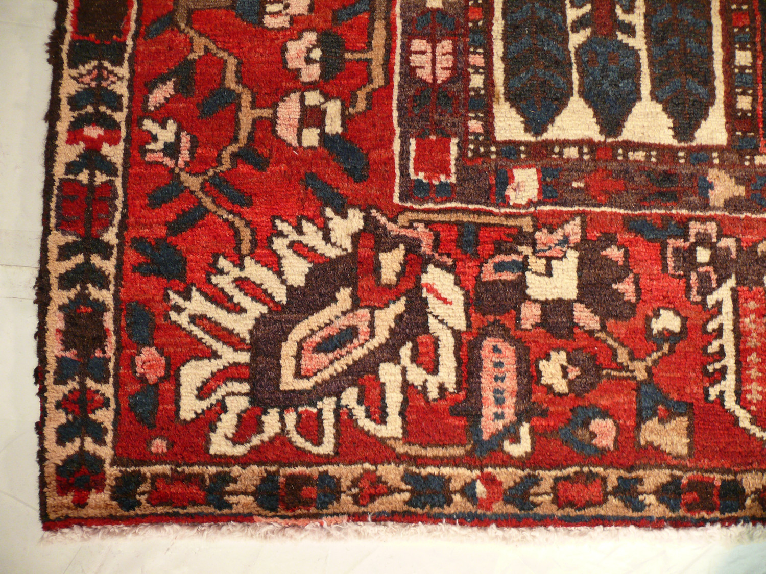 10 x 12'8" Persian Bakhtiar Rug Field / Garden Design