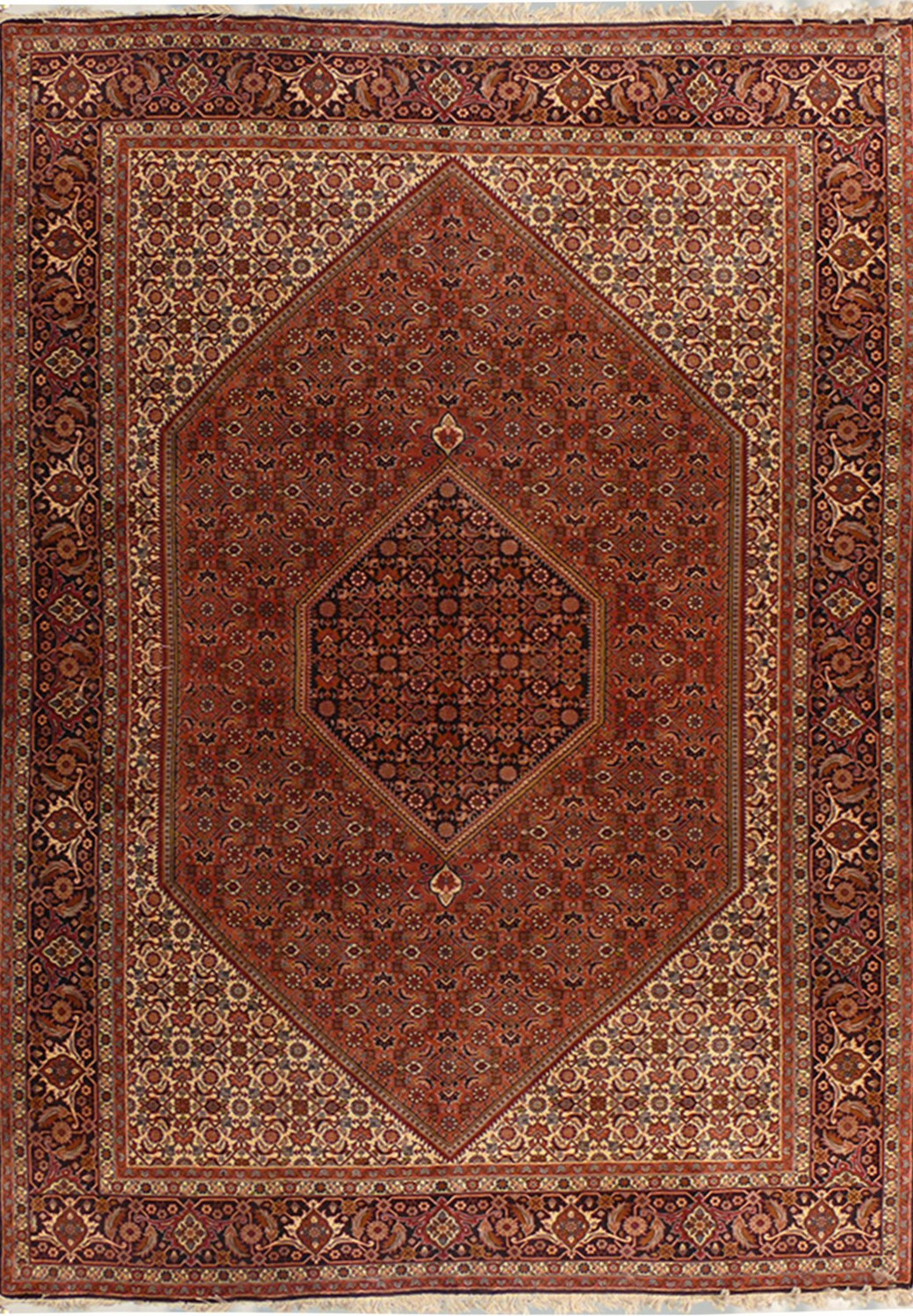 6'5 x 10' Persian Bijar Rug