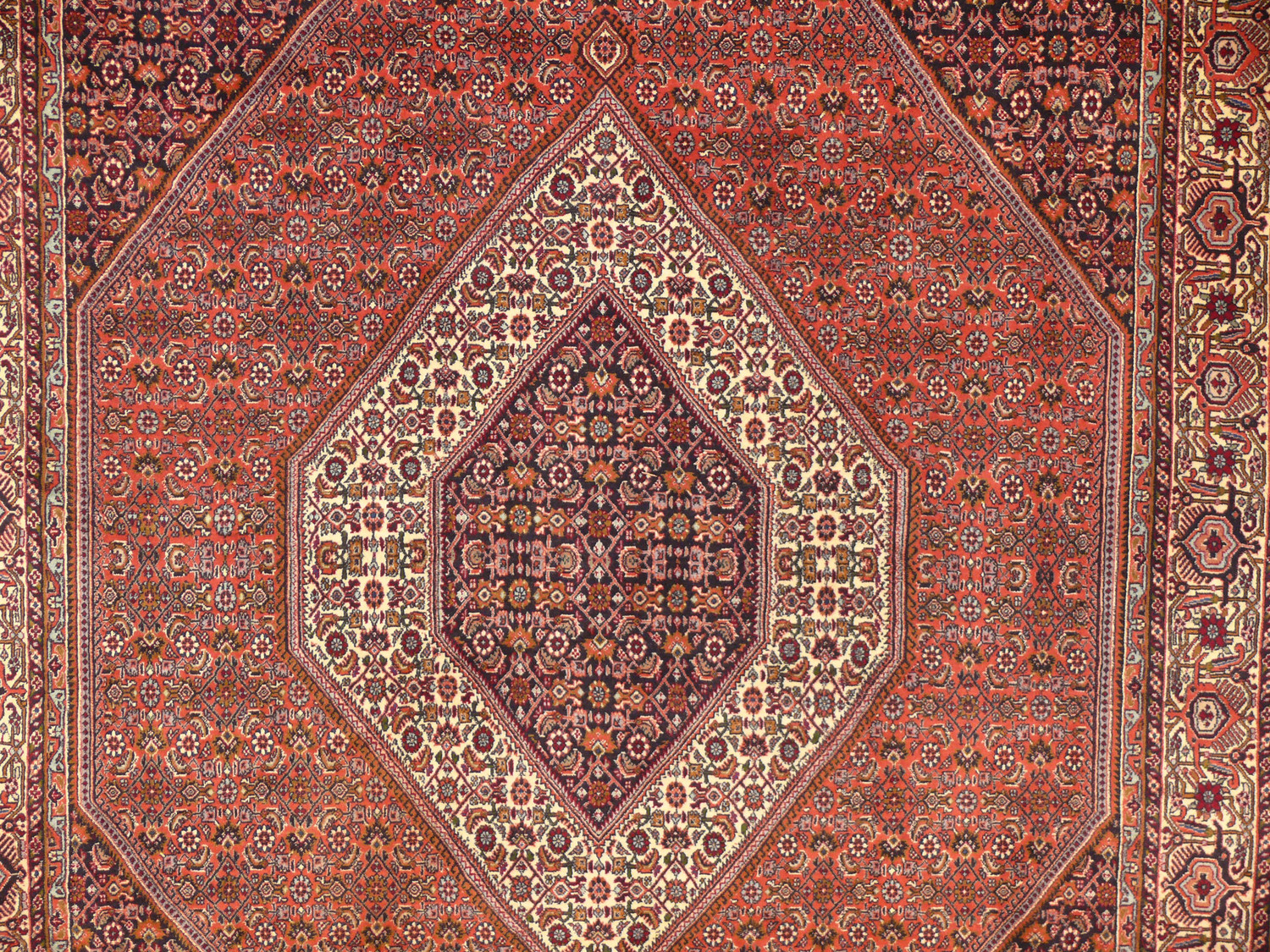 7 x 10 Persian Bijar Rug Mahi Design