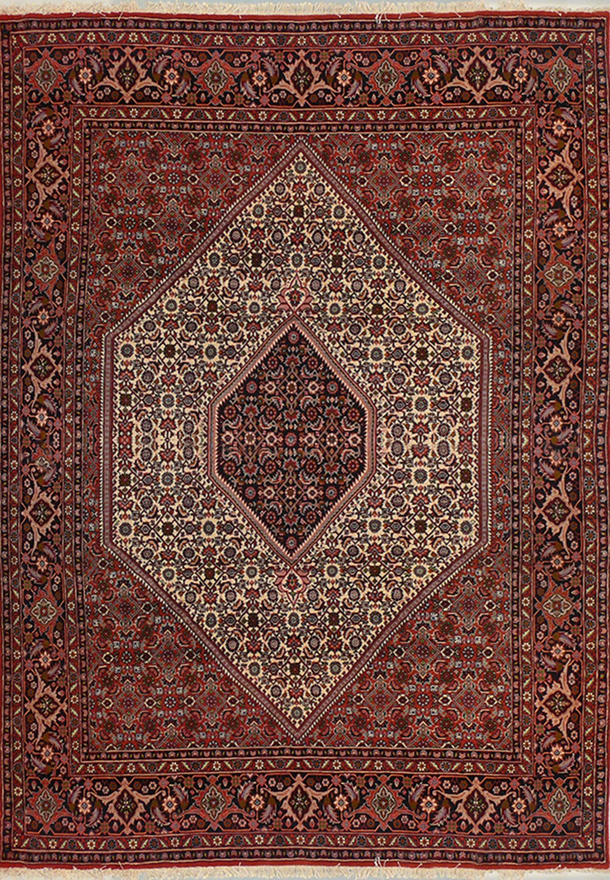 6'4 x 9'2 Persian Bijar Rug