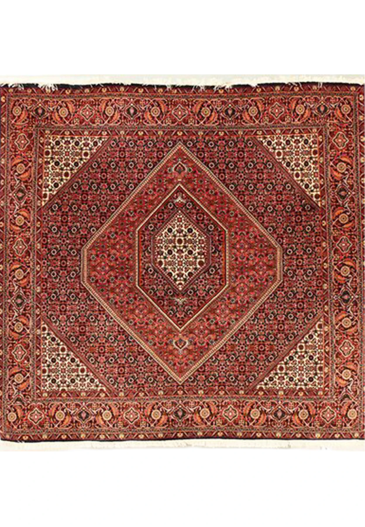 6'3" x 6'3" Persian Bijar Square Rug