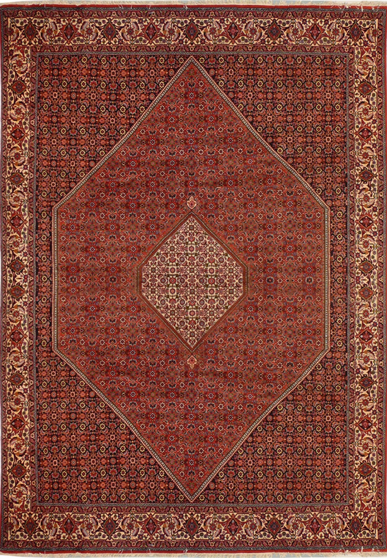 8'2 x 11'5 Persian Bijar Rug