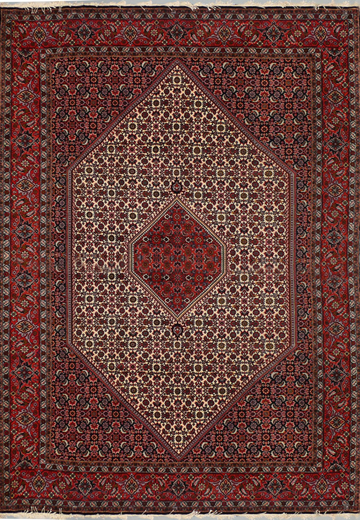6'6  x 9'9 Persian Bijar Rug Mahi Design