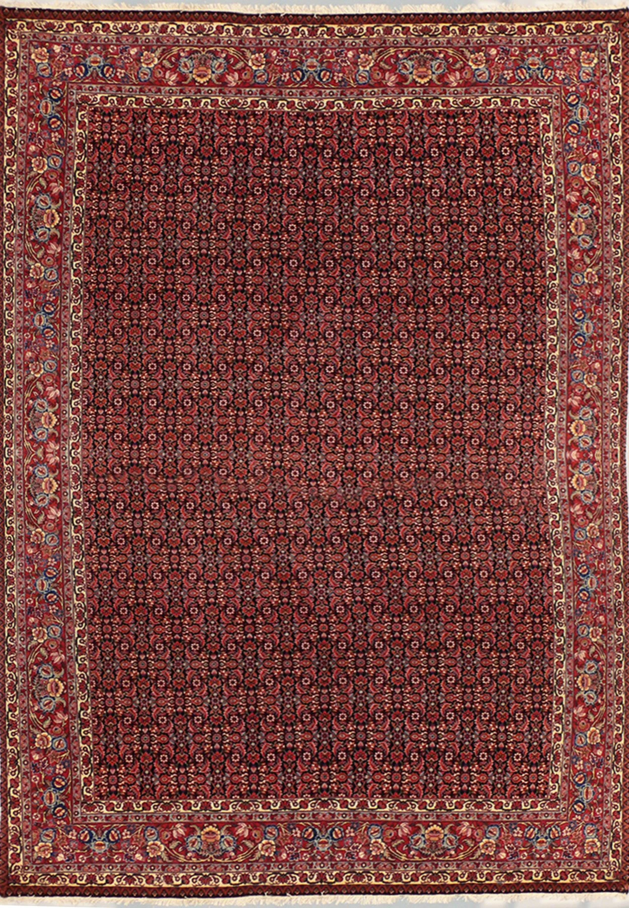 7 x 10 Open field Persian Bijar Rug