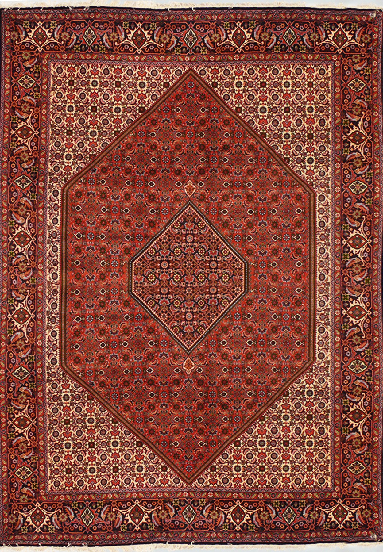 7 x 10 Persian Bijar Rug Diamond Medaillon