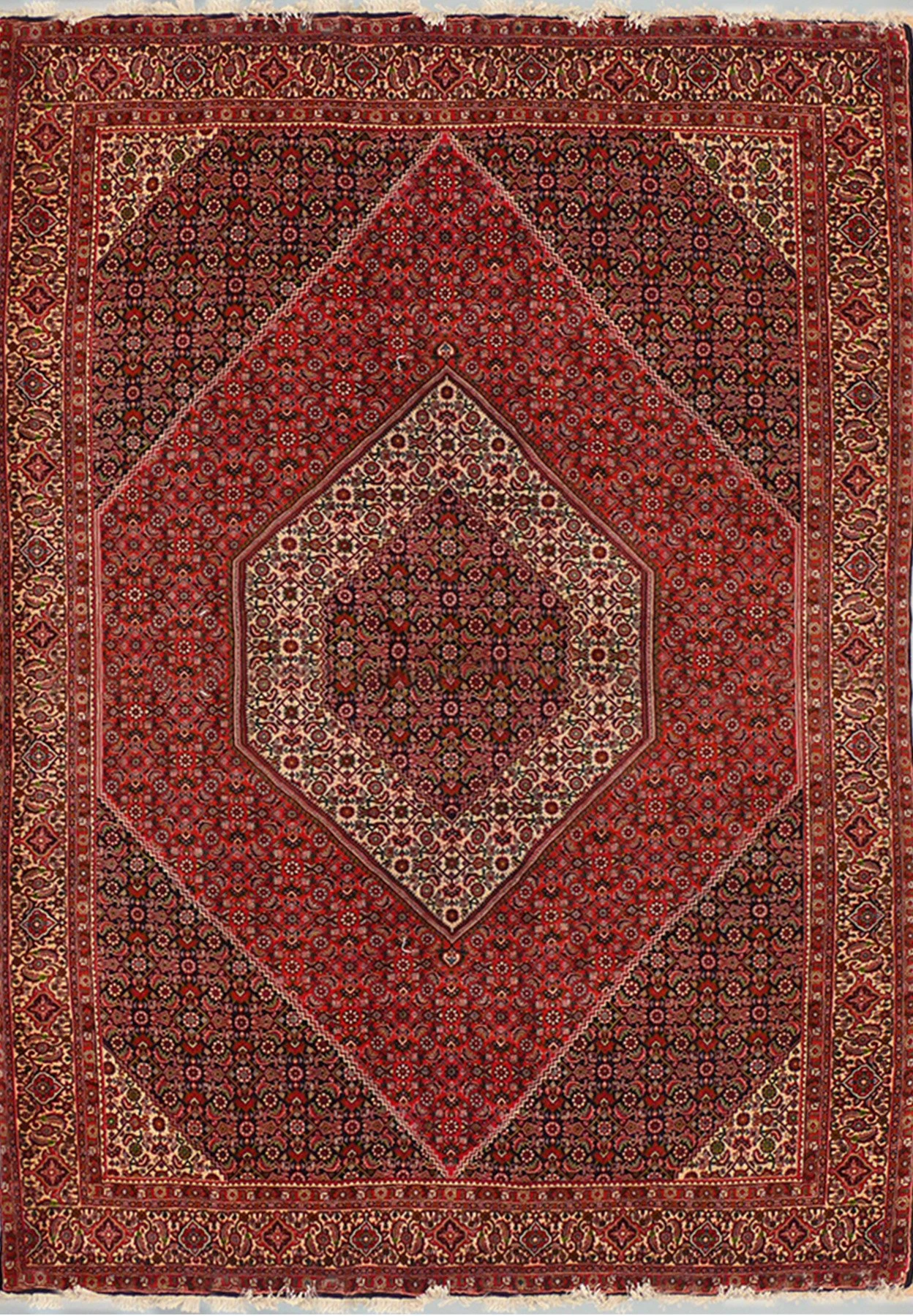 6'6 x 9'8 Persian Bijar Rug