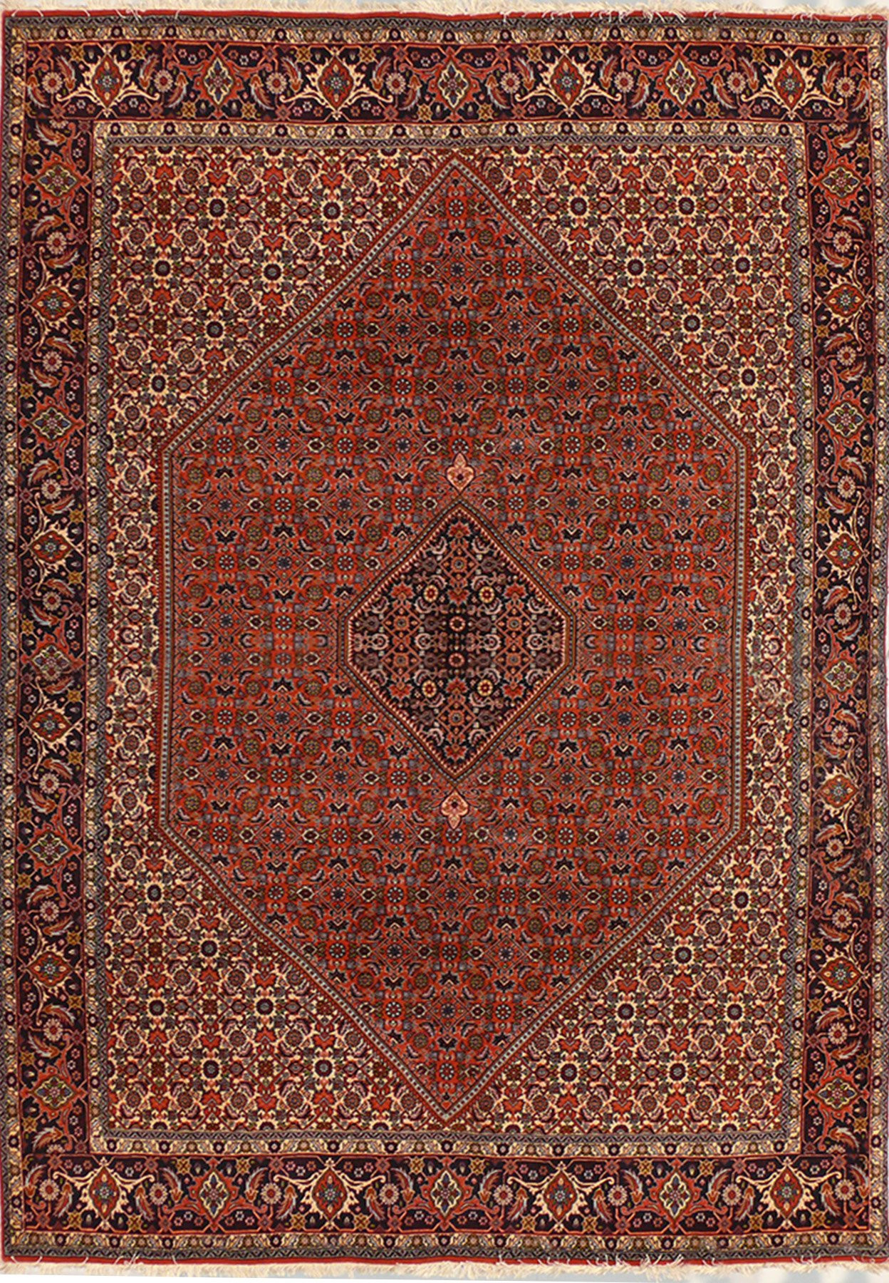 6'6 x 9'8 Persian Bijar Rug Mahi Design