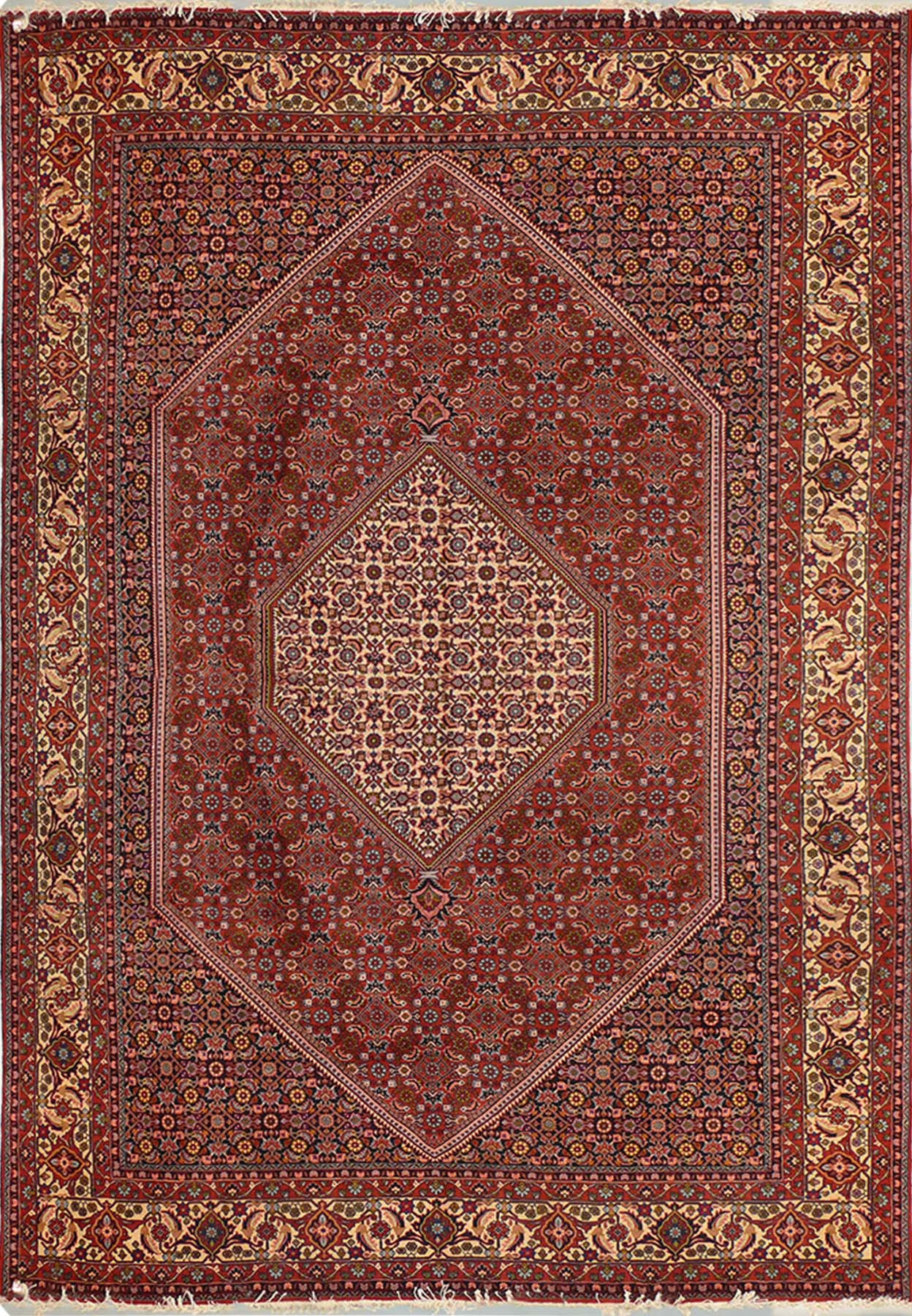 8'3 x 11'5 Persian Bijar Rug - Full view of rug, showcasing intricate design and vibrant colors