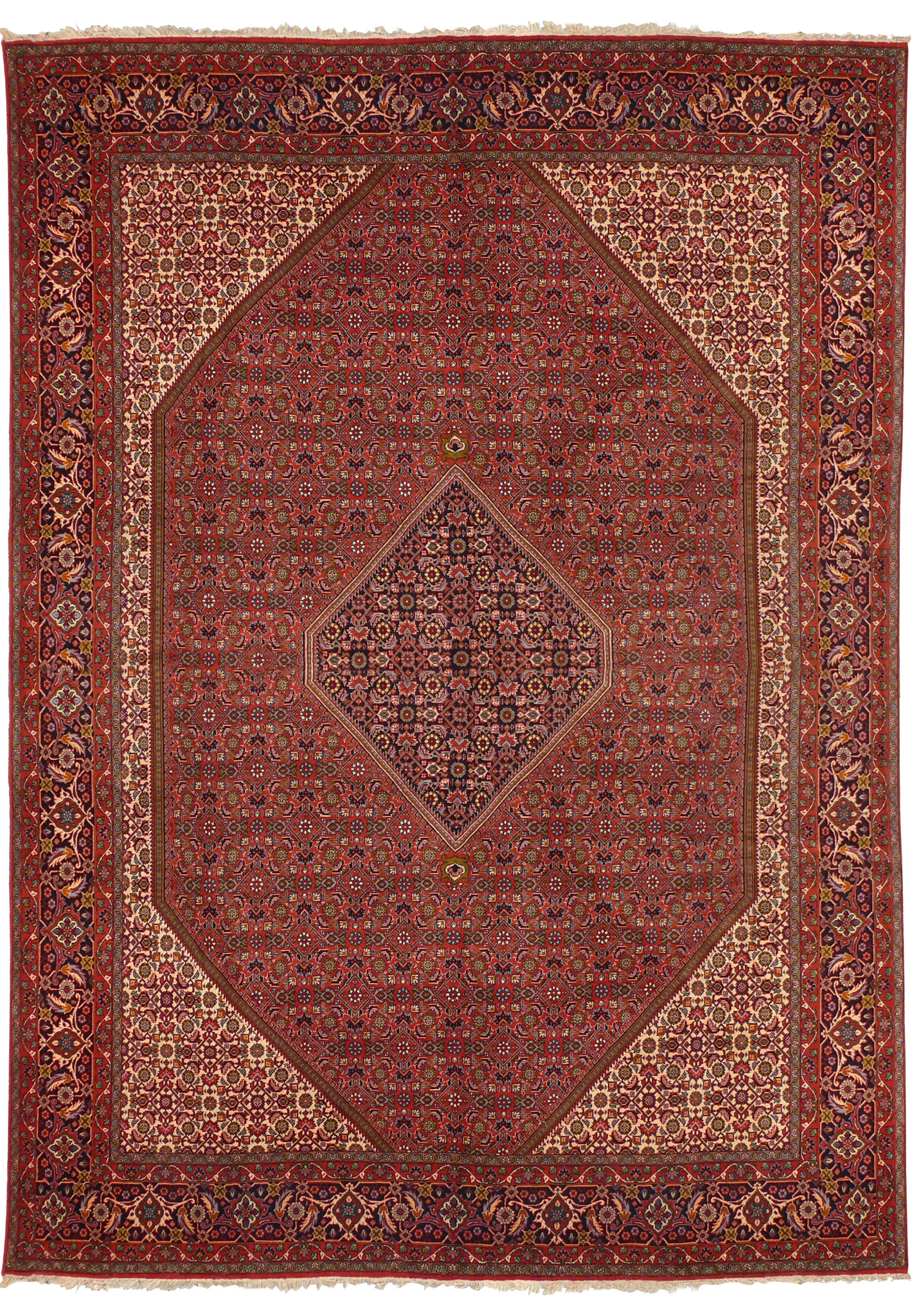 Full view of 8' x 11'2" Bijar Persian Iron Rug