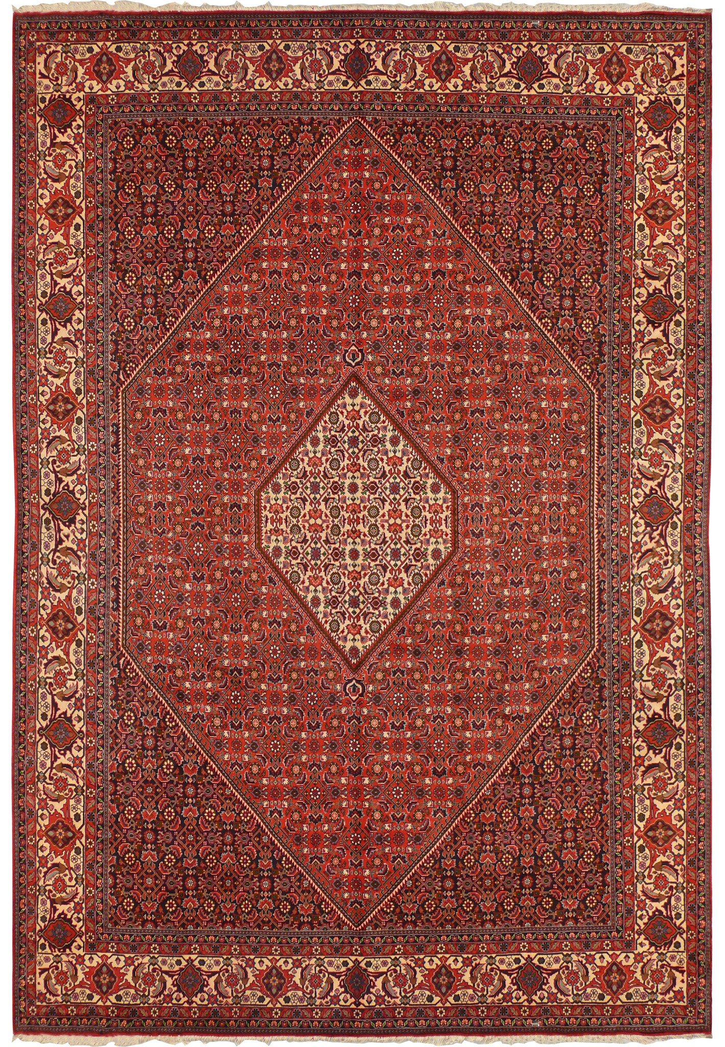 Overhead full view 8'2 x 11'5 Bijar Persian rug, rust field, ivory diamond medallion, dense floral lattice, wide ivory border.