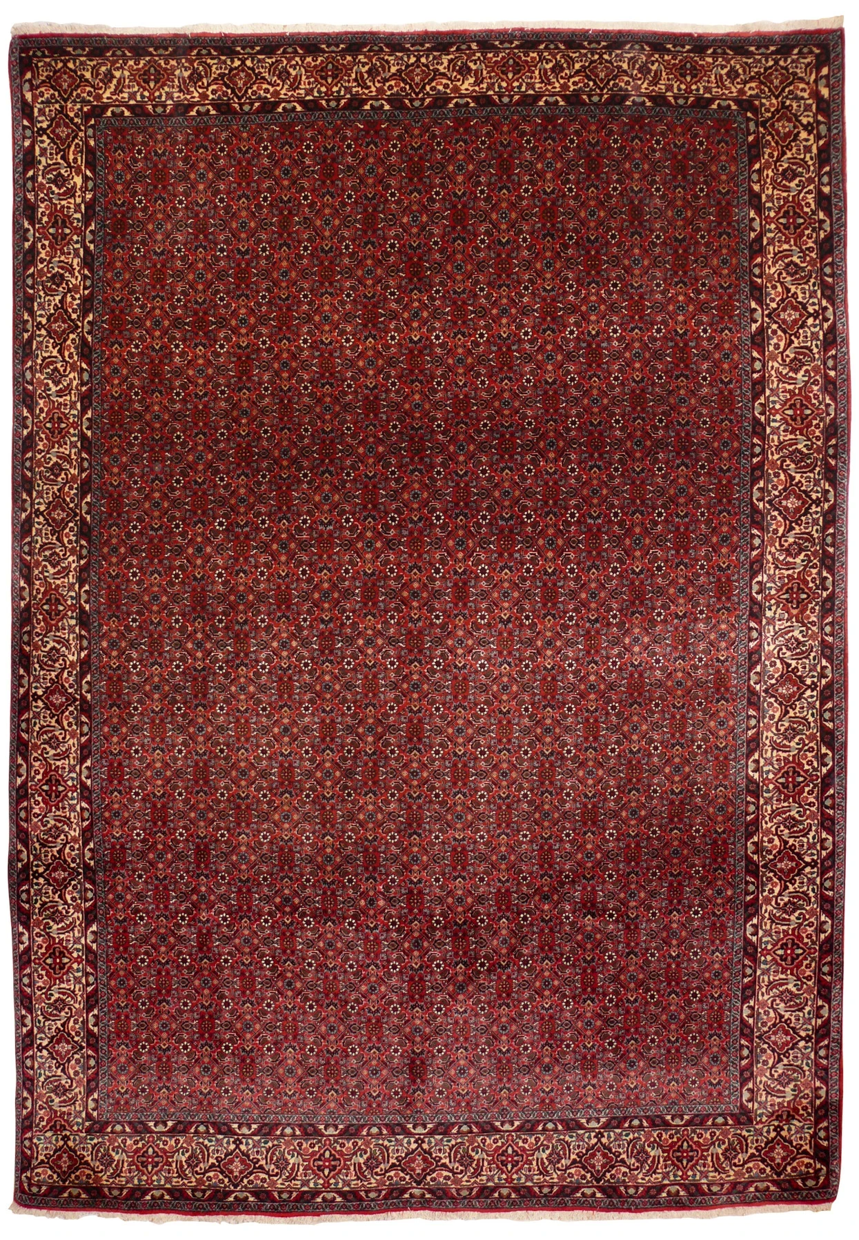 7 x 9 Persian Bijar rug with a dense red Herati field and ivory border, hand-knotted wool