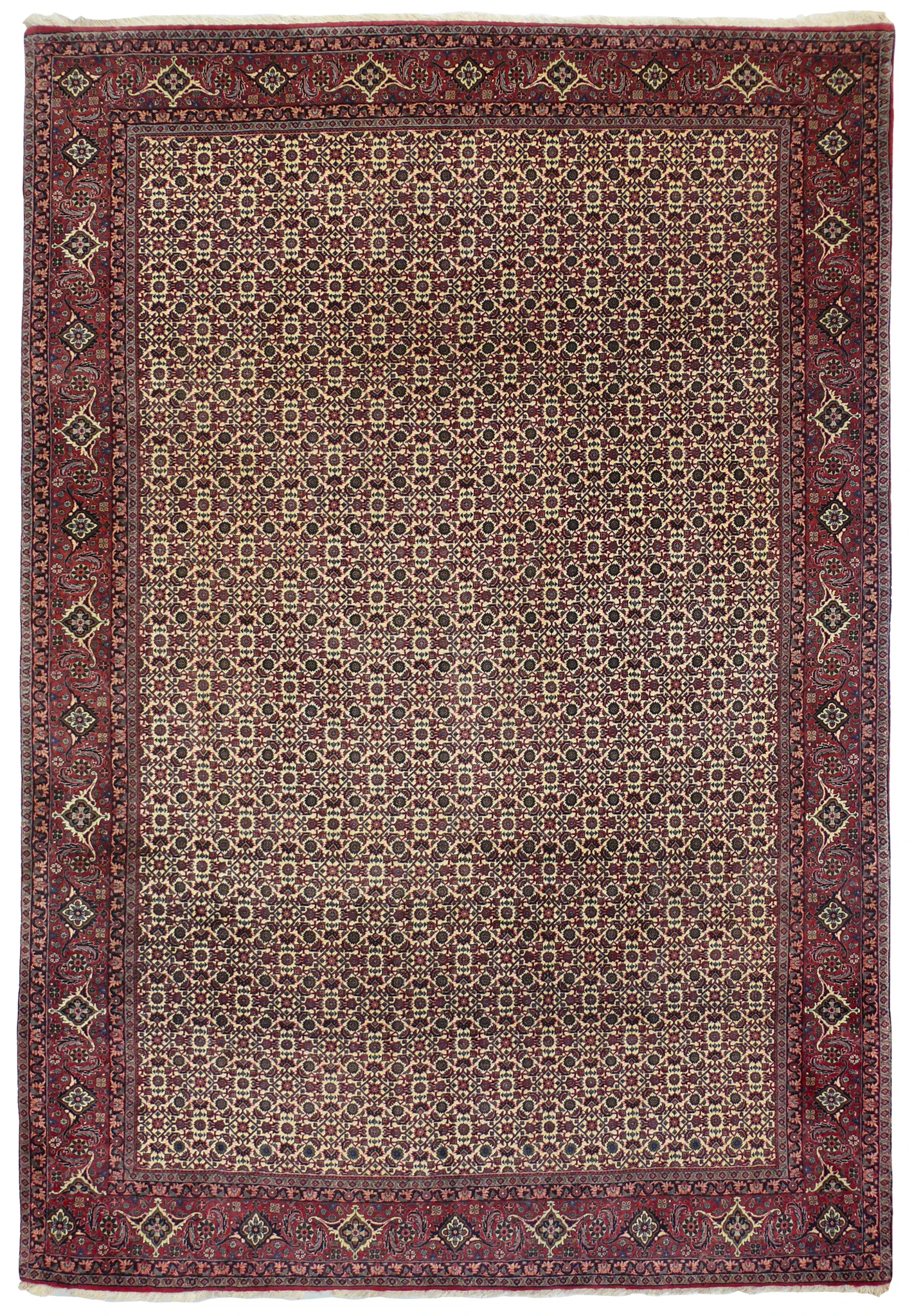 6'8 x 9'10 Persian Bijar rug, all-over herati fish pattern on an ivory field with red floral border
