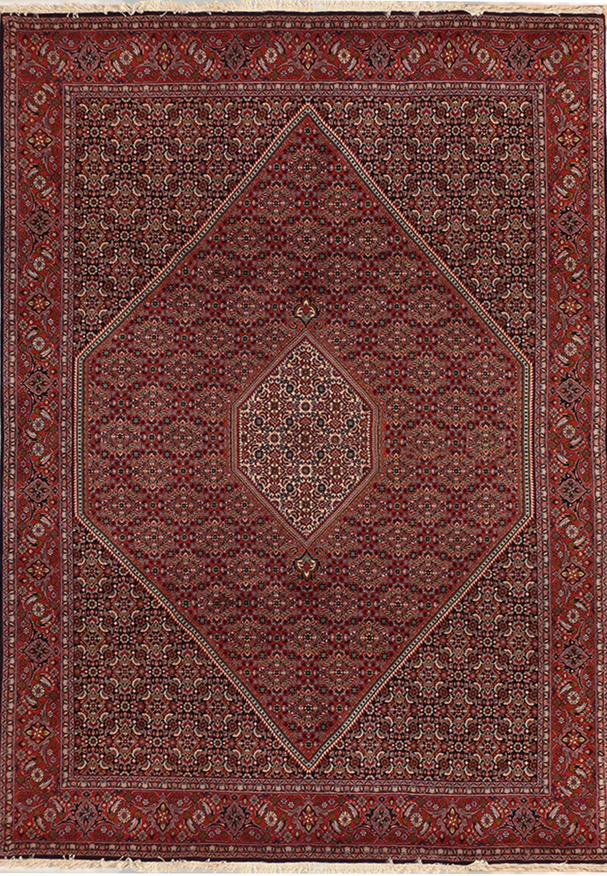 6'5" x 9'8" Persian Bijar Rug