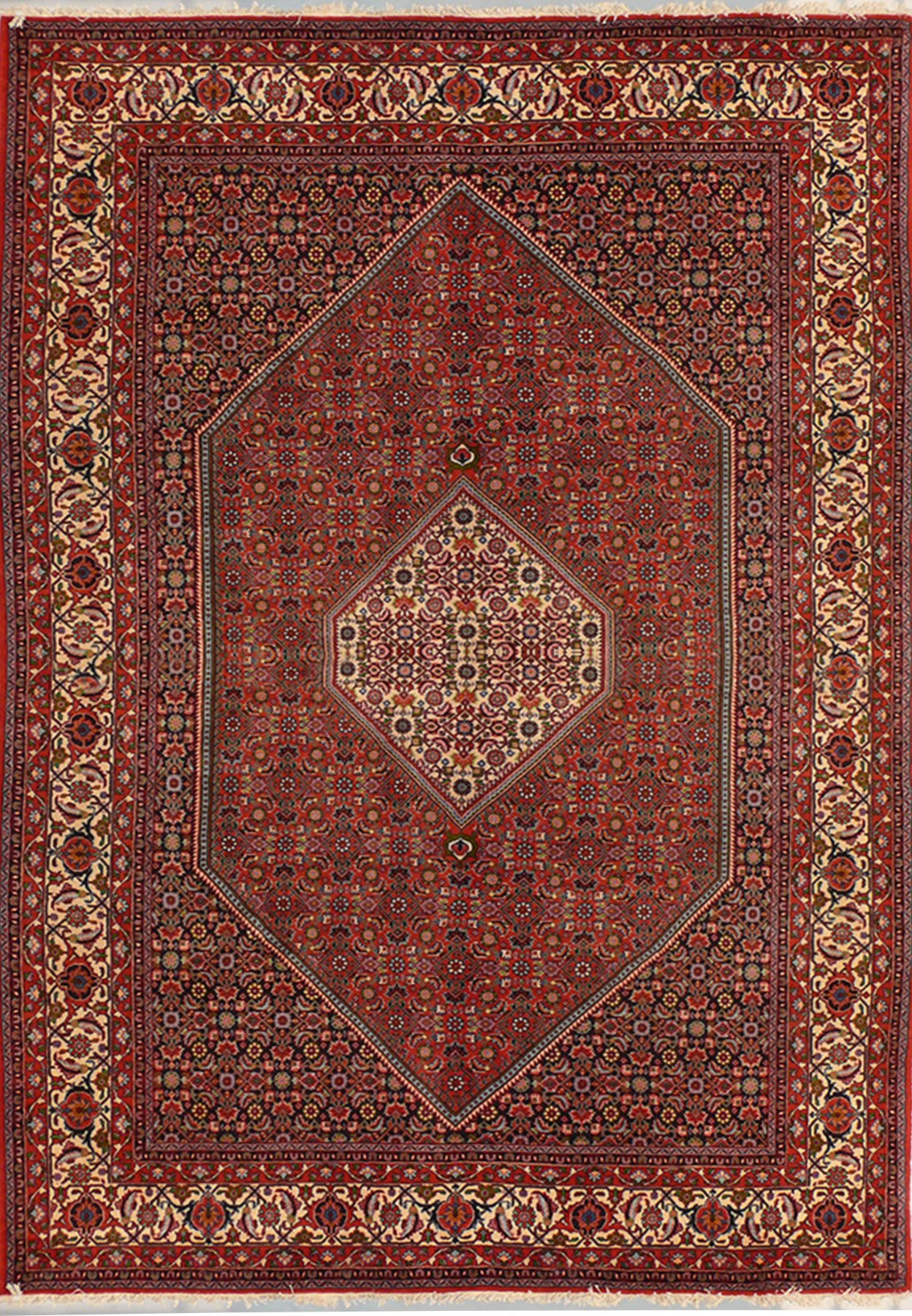 7 x 10 Persian Bijar Rug  Mahi Design