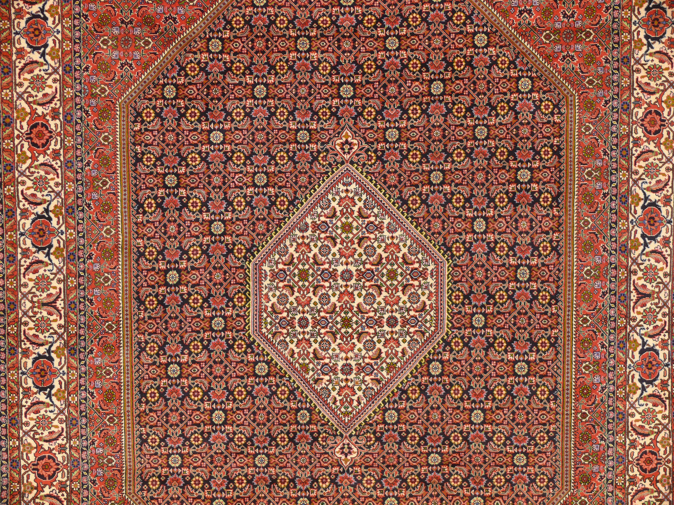 6'7" x 10 Persian Bijar Rug Mahi Design