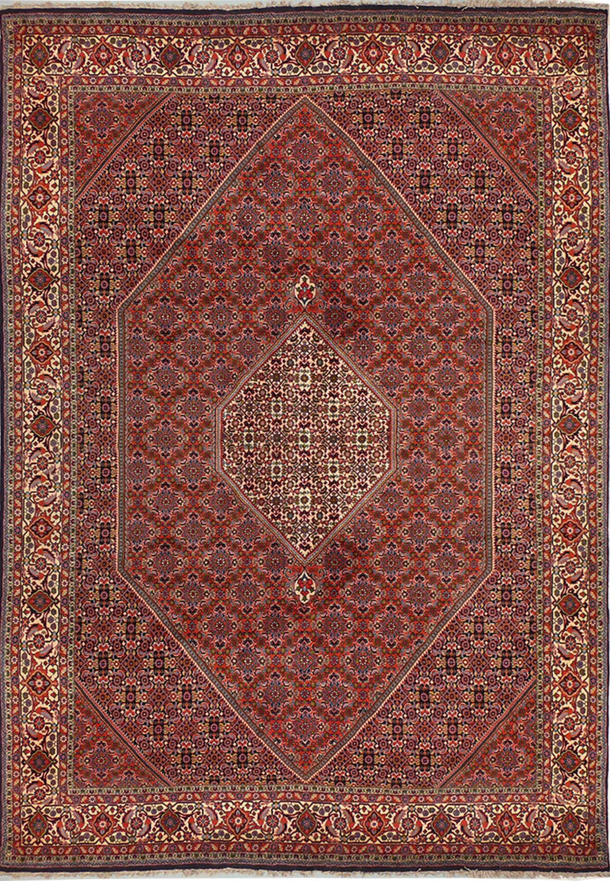 8'1 x 11'10 Persian Bijar Rug