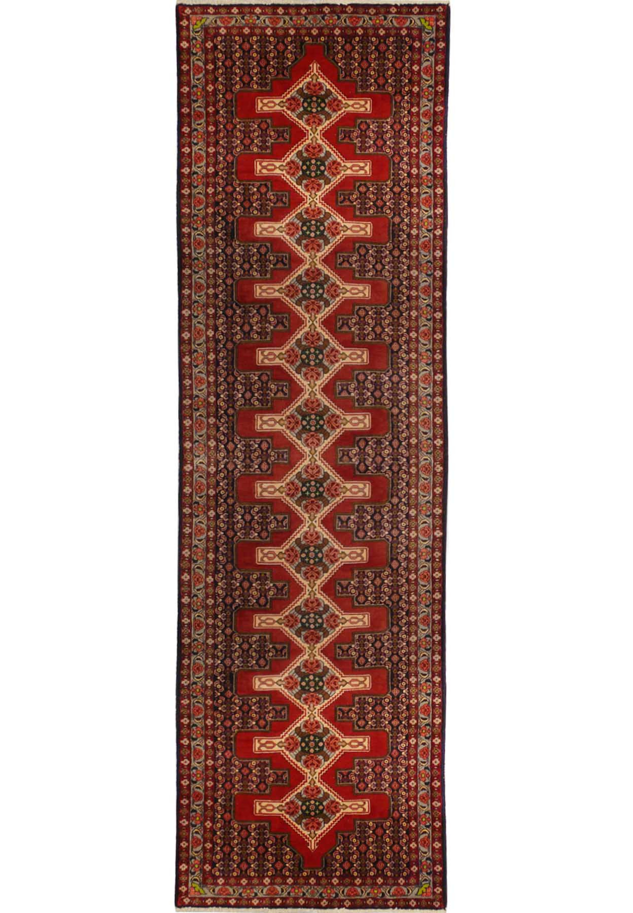 3 x 13 Geometric & Botanical Persian Senneh Runner Rug