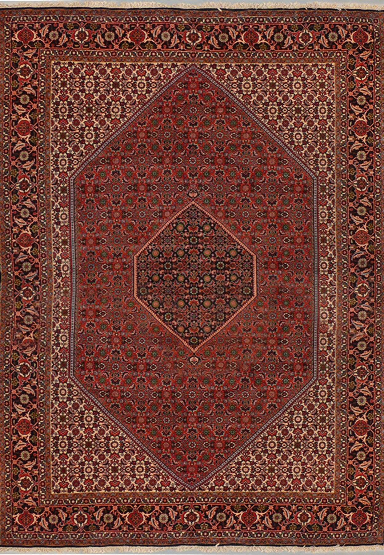 6'3 x 9'6 Persian Bijar Rug Mahi Design