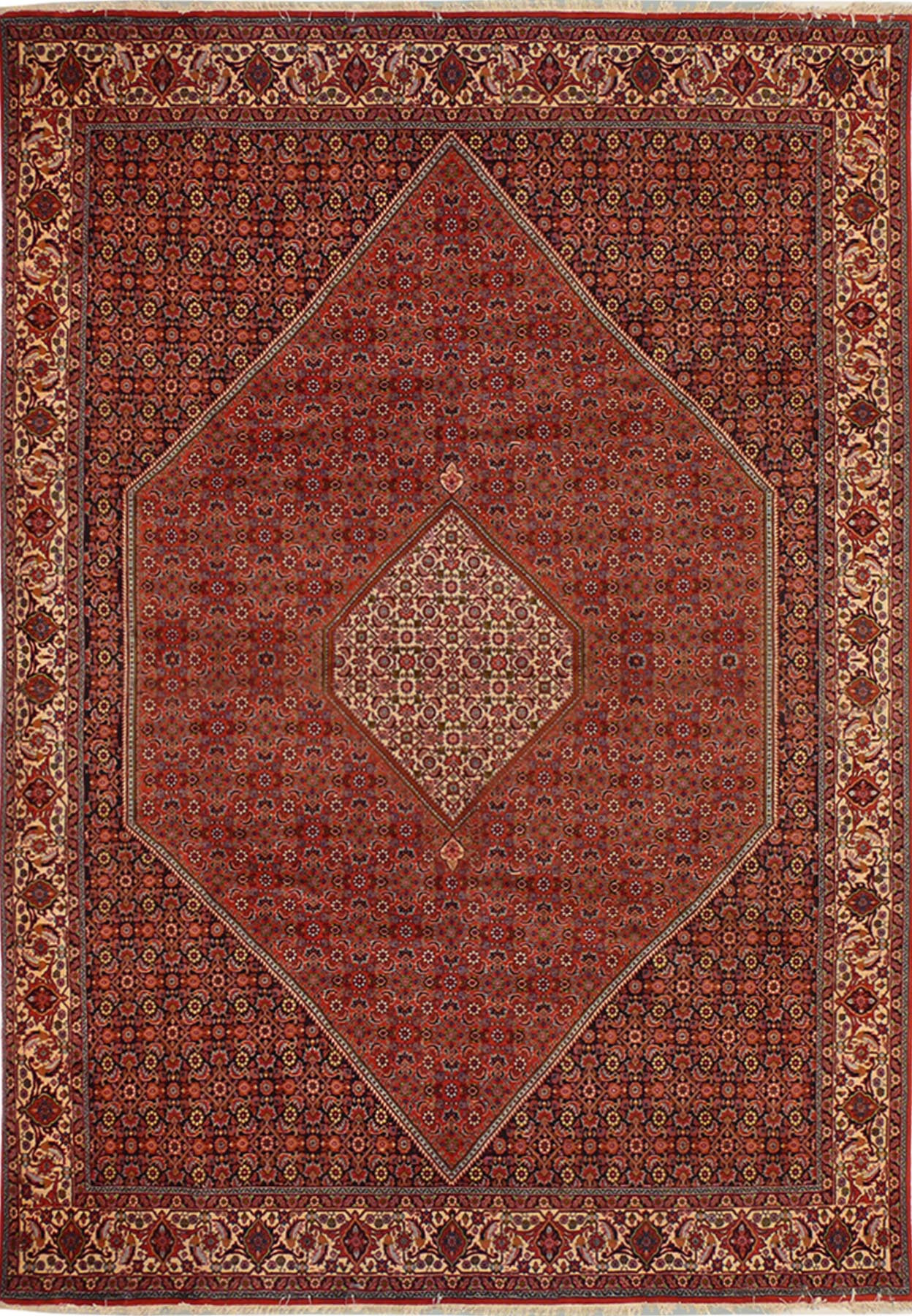 8'2 x 11'5 Persian Bijar Rug