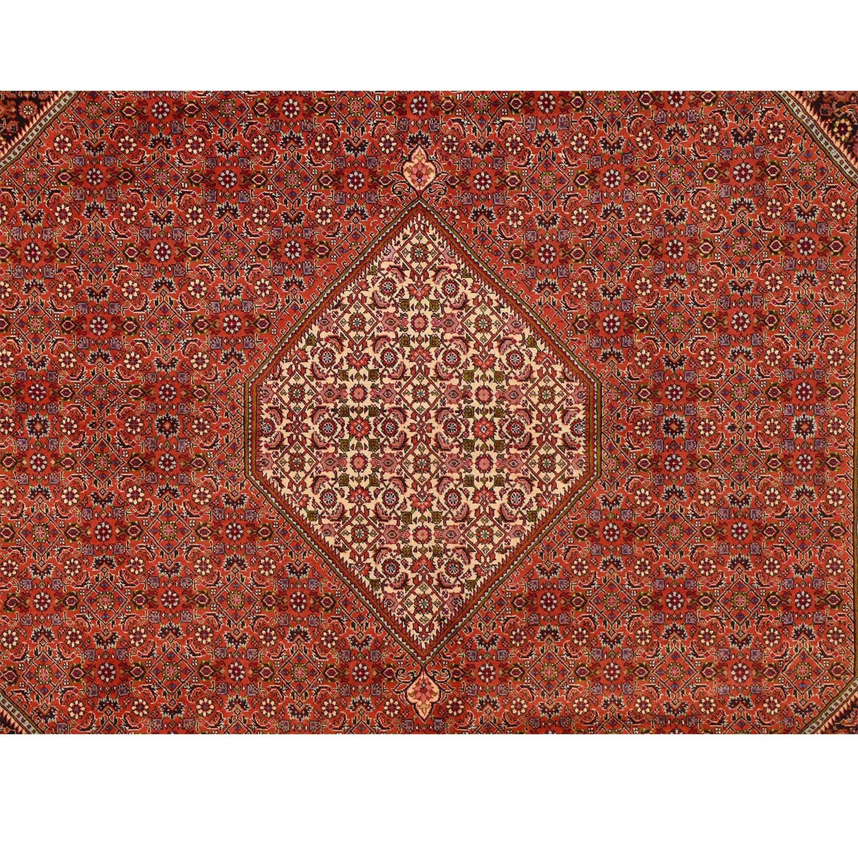 8'2 x 11'5 Persian Bijar Rug