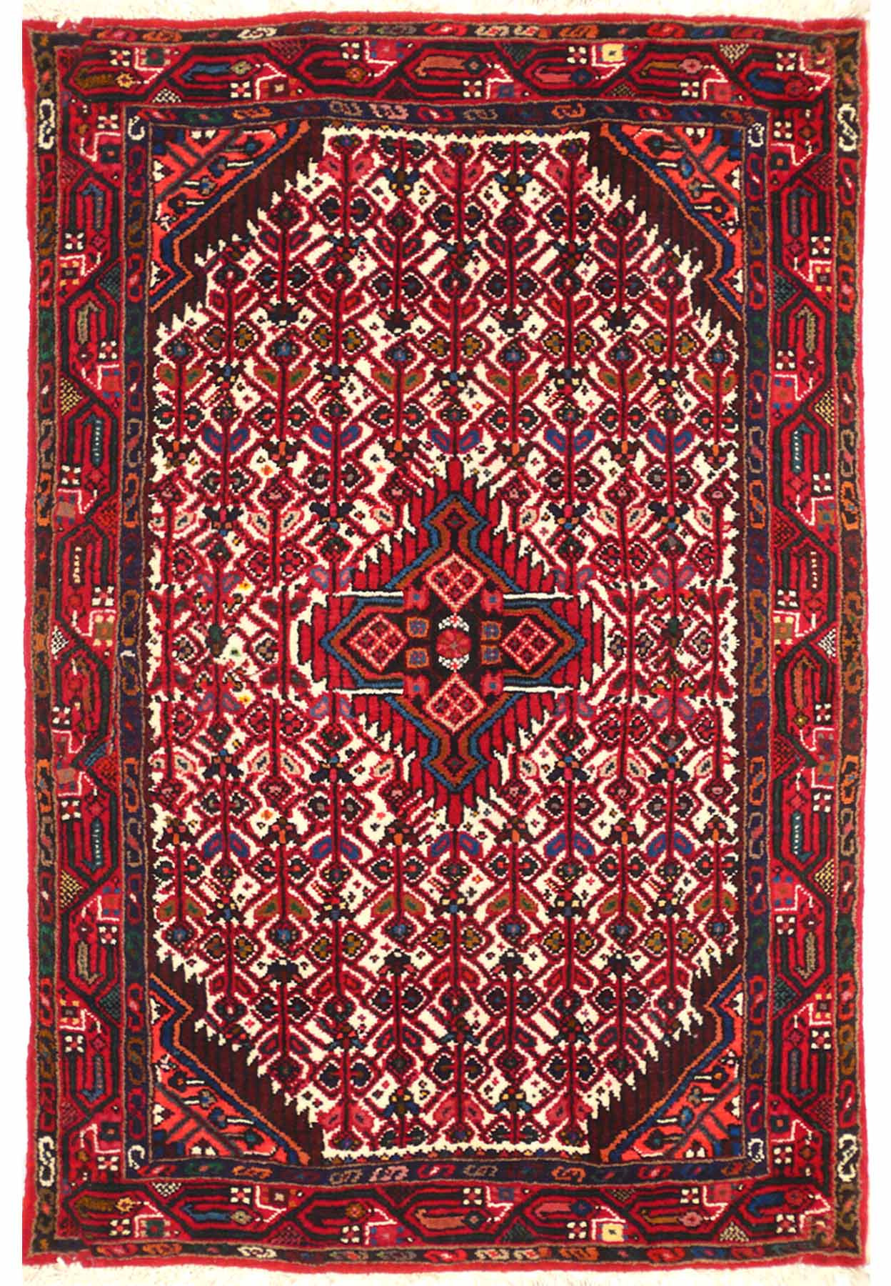 3 x 5 Persian Hamedan Rug | Clearance
