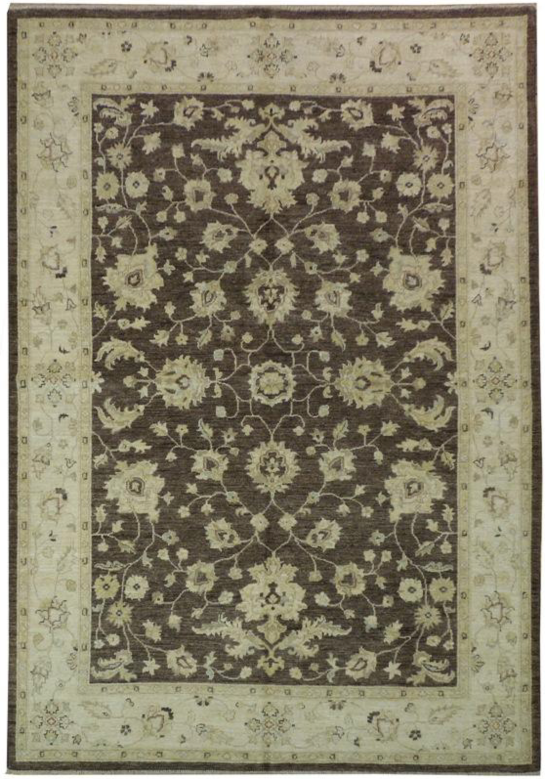 6 x 9 Transitional Oriental Chobi Peshawar Rug