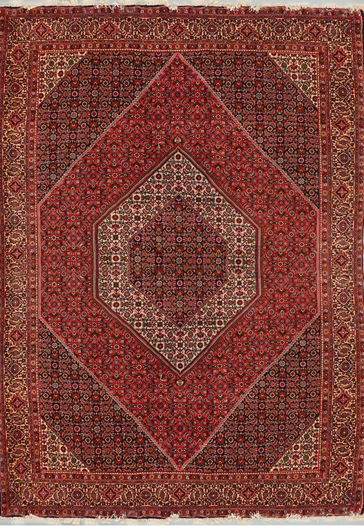 6'6 x 9'8 Persian Bijar Rug
