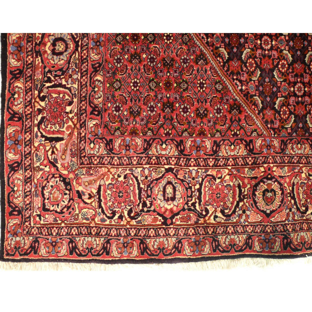 8'2 x 11'5 Persian Bijar Iron Rug