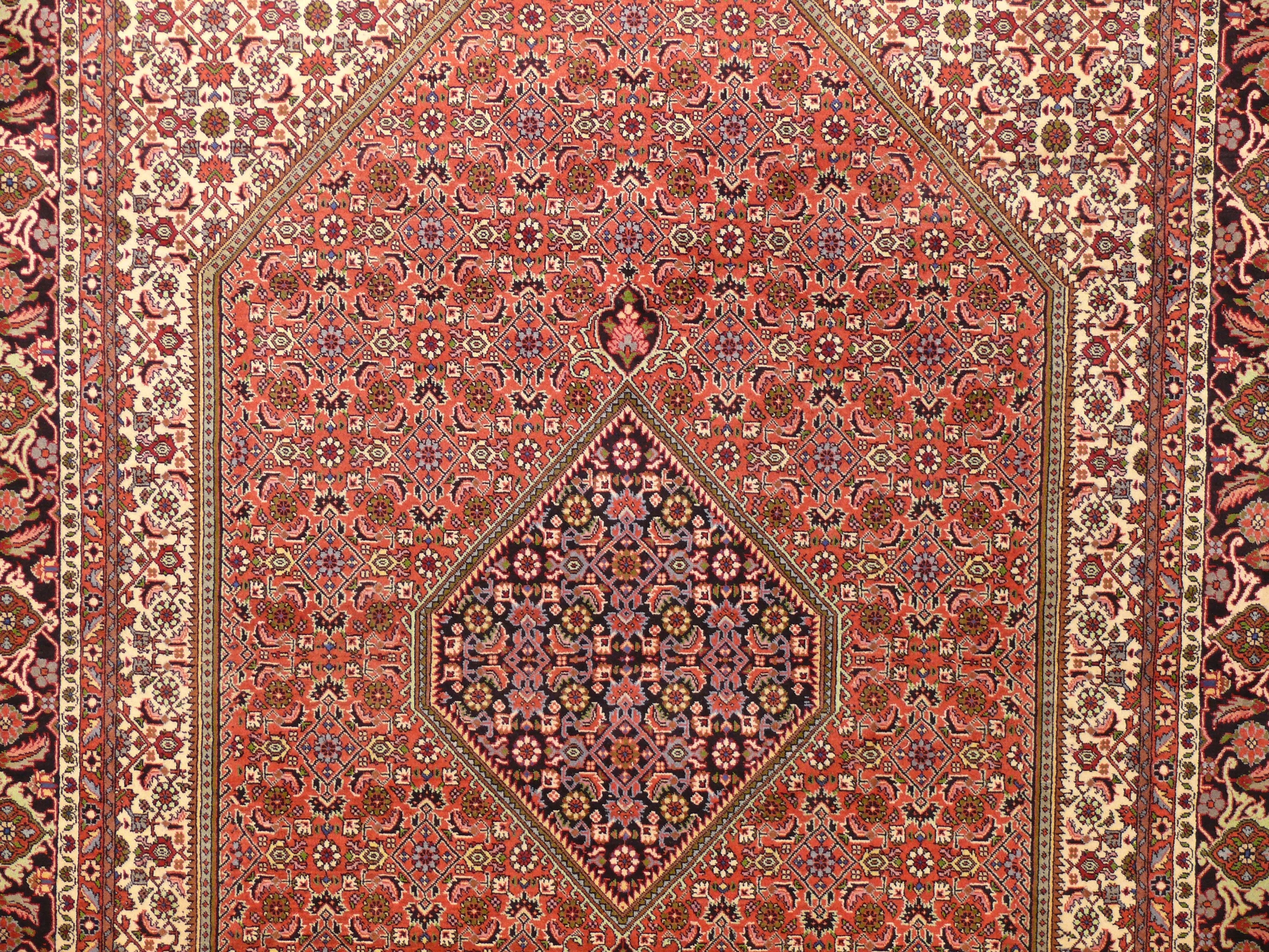 6'5 x 9'7 Persian Bijar Rug Mahi Design
