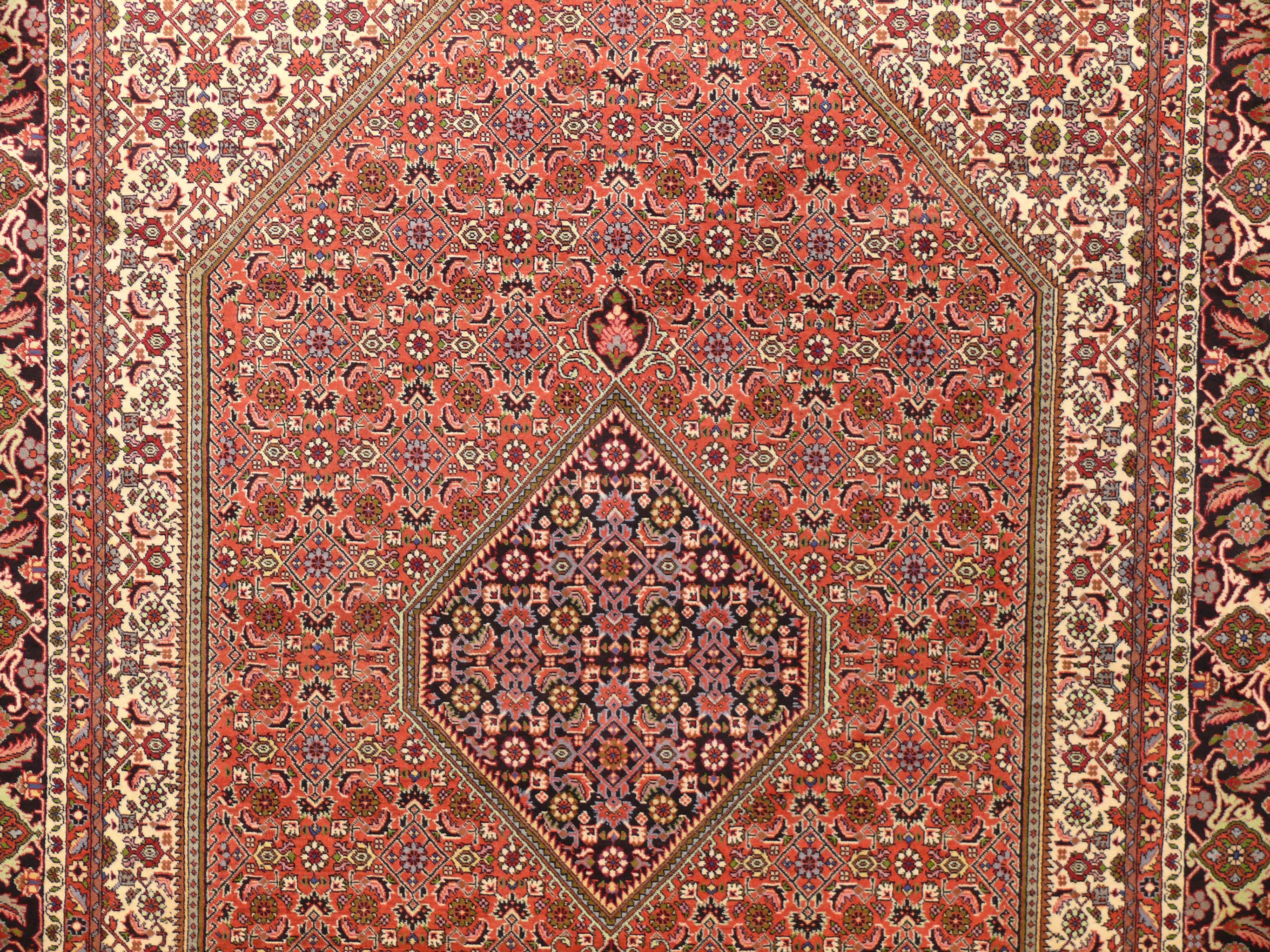 6'5 x 9'7 Persian Bijar Rug Mahi Design