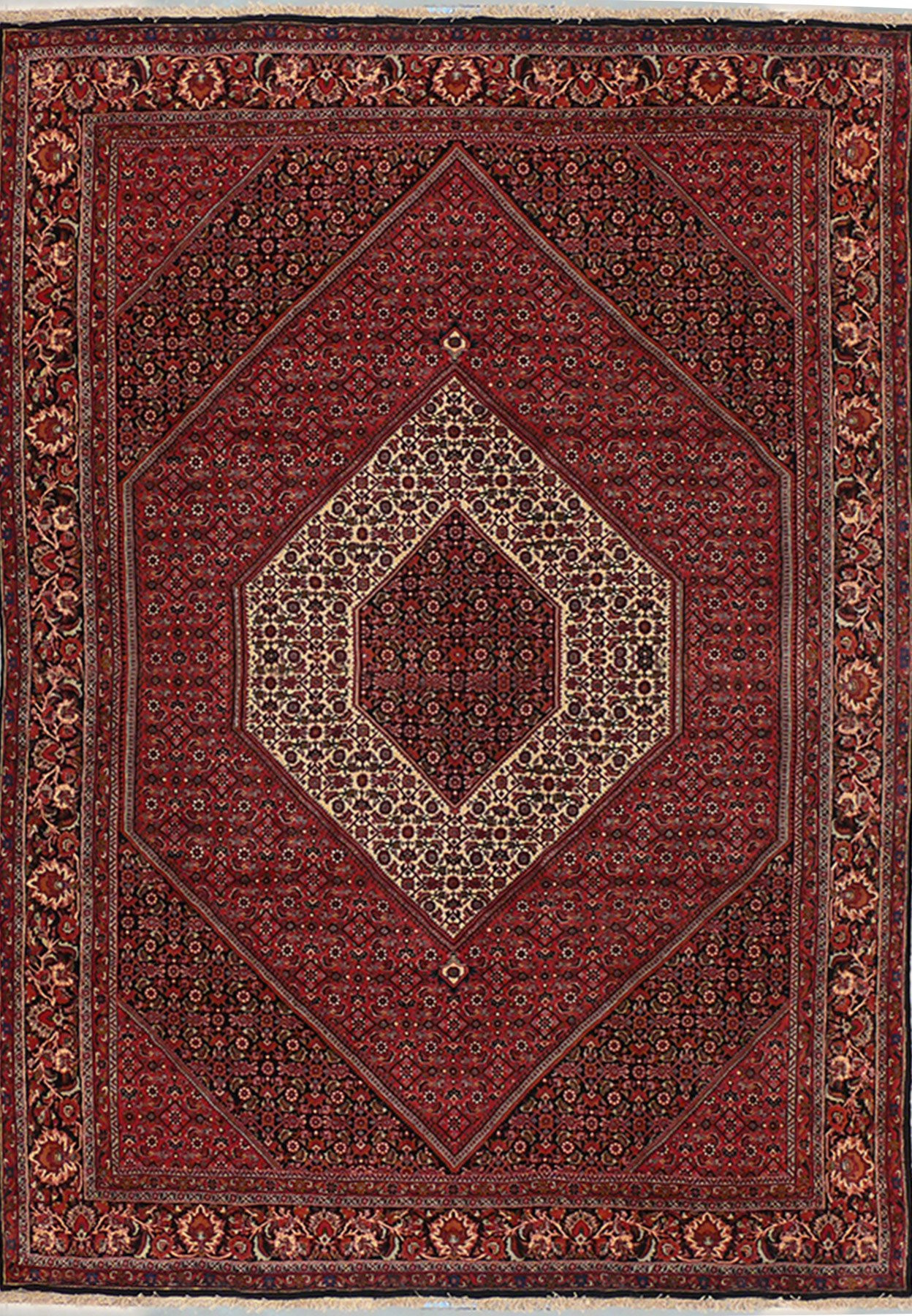 6'9 x 10 Persian Bijar Rug Mahi Design