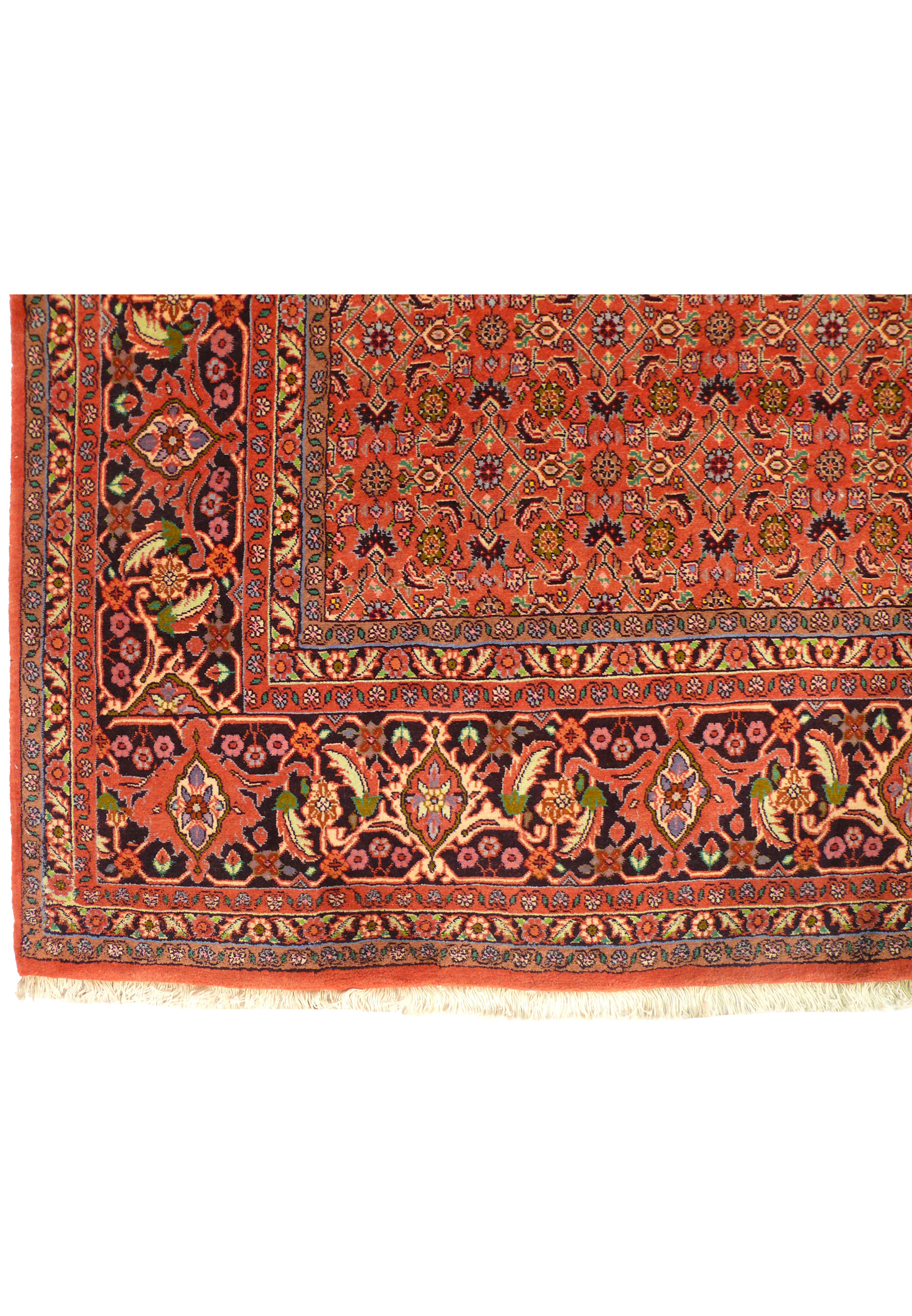 Detailed view of the Persian Bijar Rug's elaborate border with cream and navy accents