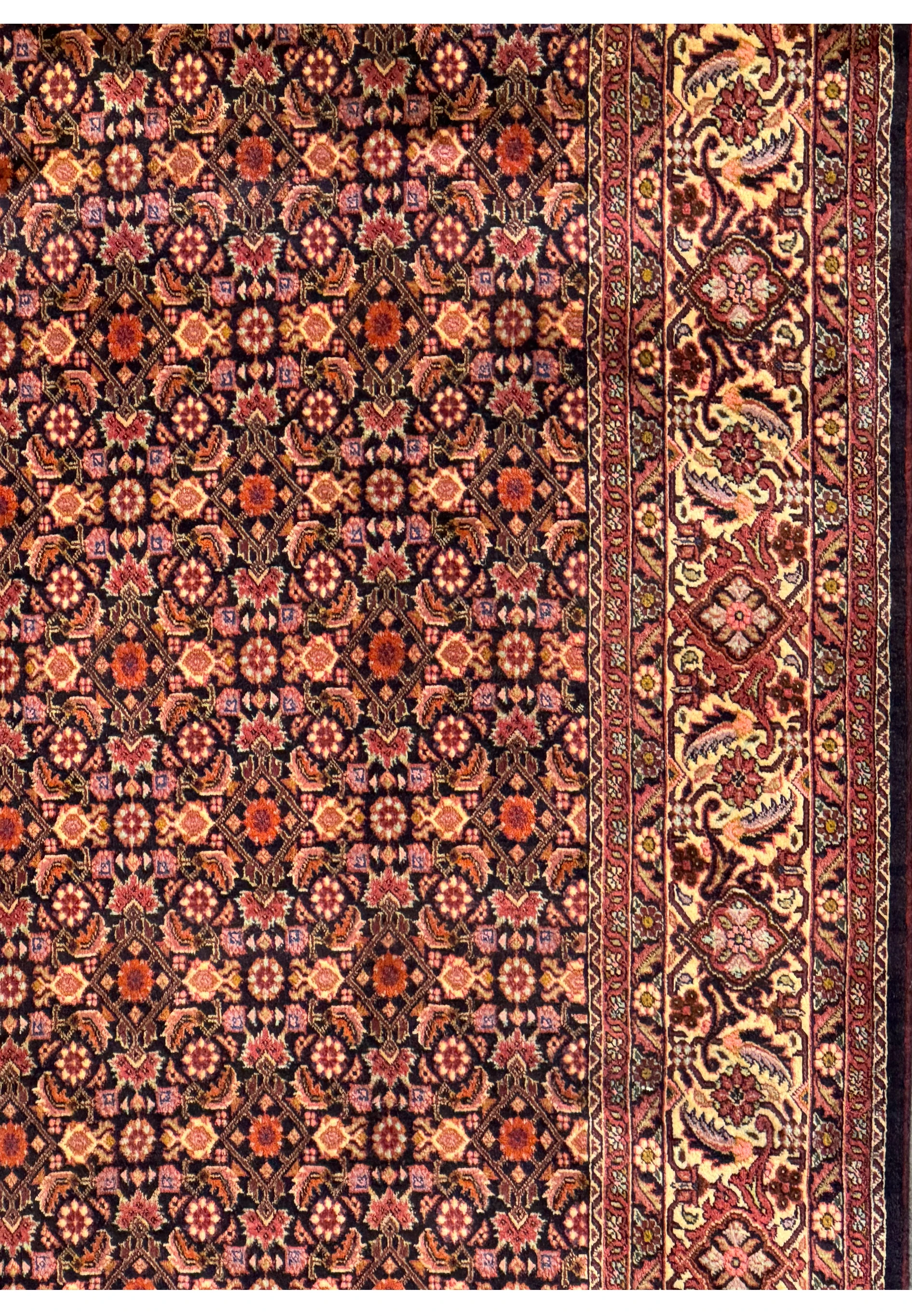 Angle shot of Persian Bijar Rug, illustrating the depth of design and color vibrancy
