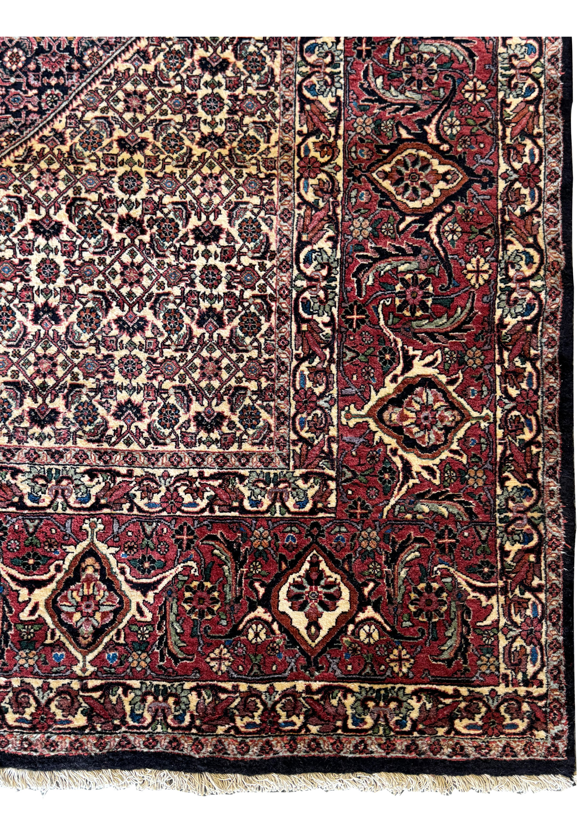 A partial view of the Persian Bijar rug showing the transition from the central medallion to the elaborate borders.