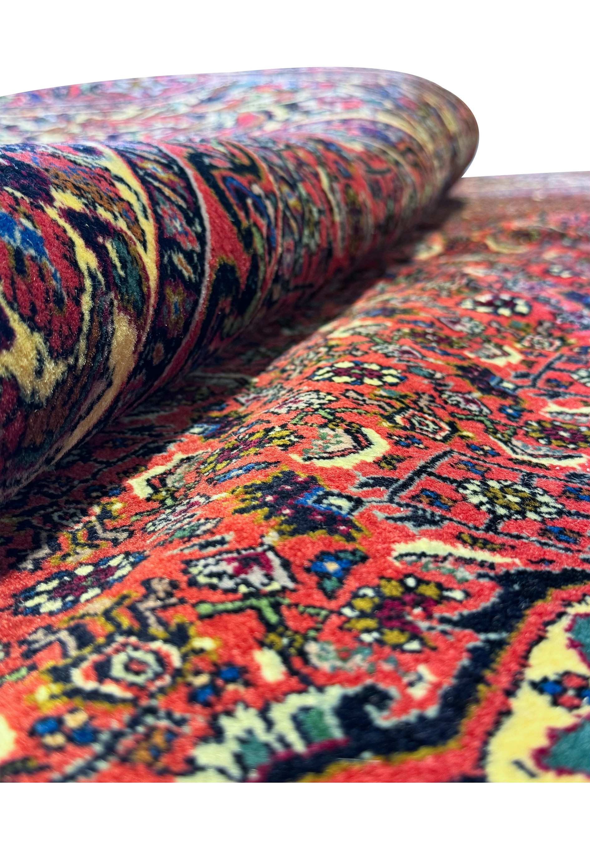 Close-up on the edge of the Persian Bijar rug, where it is rolled over to show the density of the weave, the thickness of the rug, and the vibrant color transition from reds to blues and creams