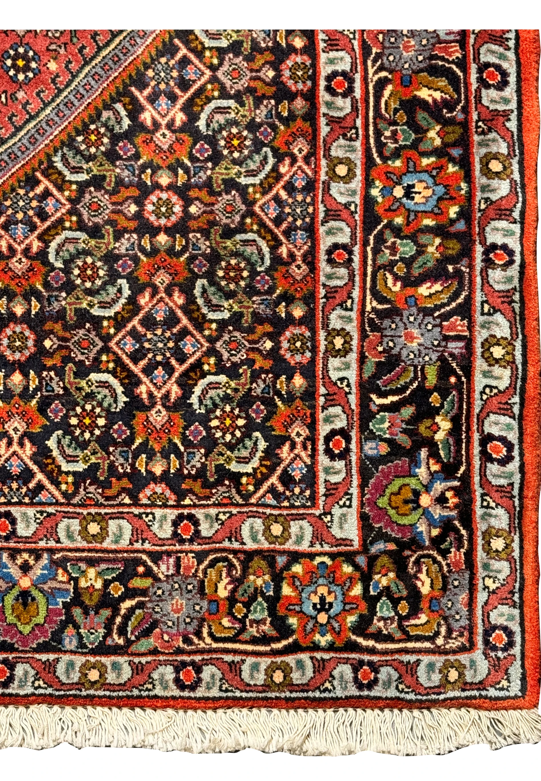 Detailed border design of the Persian Bidjar rug: A close-up of the Persian Bidjar rug's border, showcasing the repeating floral patterns in contrasting colors of black, red, and blue, framed by a cream-colored band.