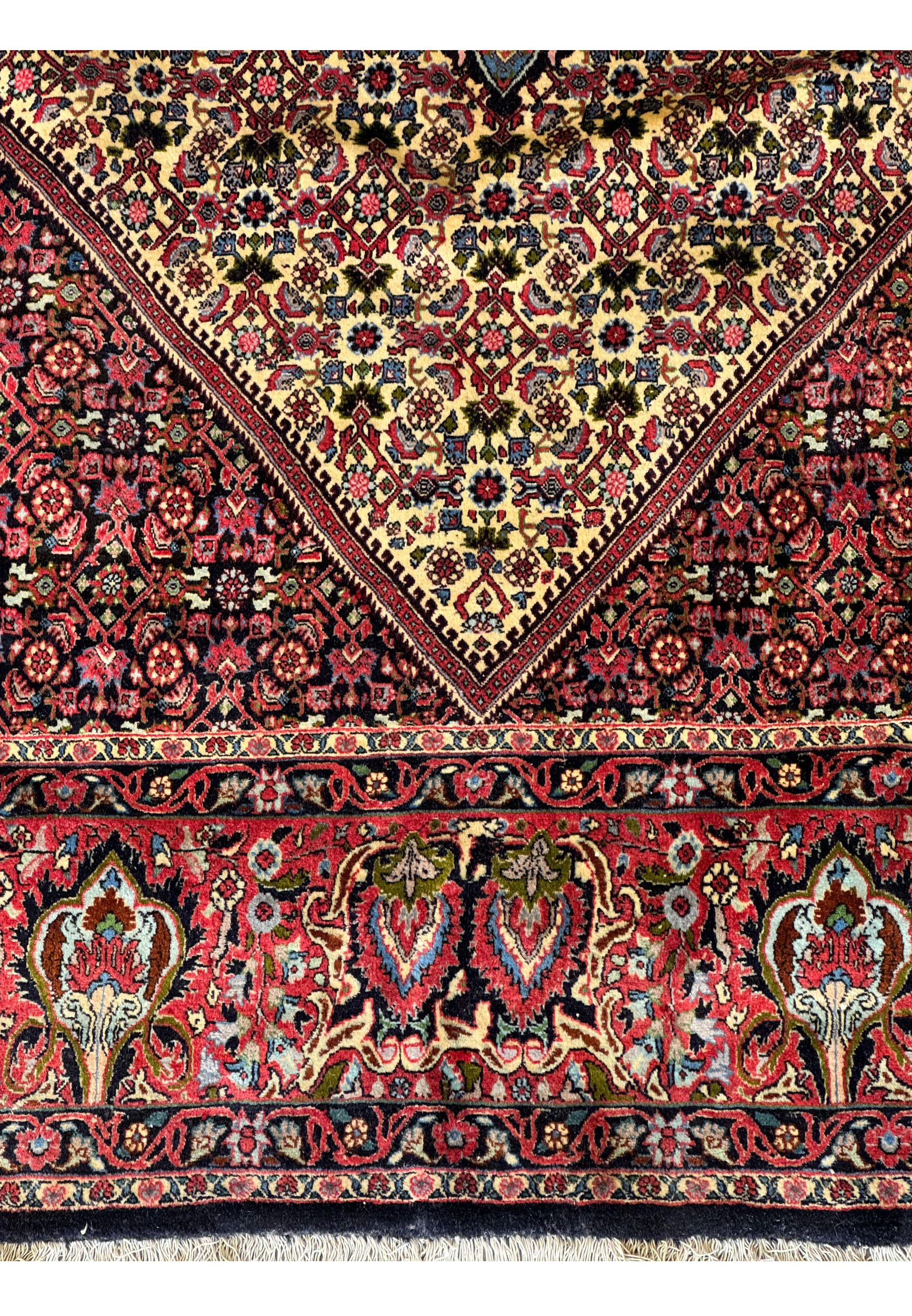 Close-up view of the intricate floral and geometric patterns in a 9'8 x 12'2 Persian Bijar Rug.