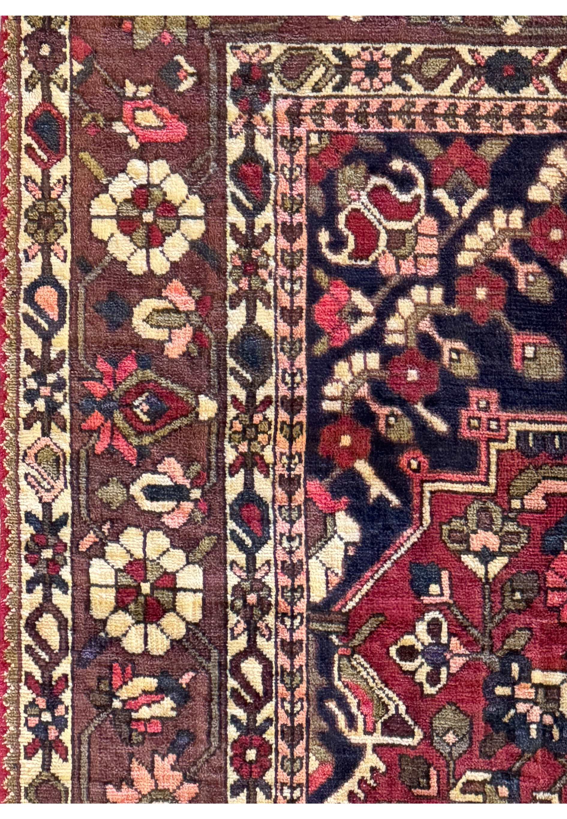 Detailed image of the corner of the 6'6" x 10' Persian Bakhtiar rug highlighting the intricate border designs and rich colors.